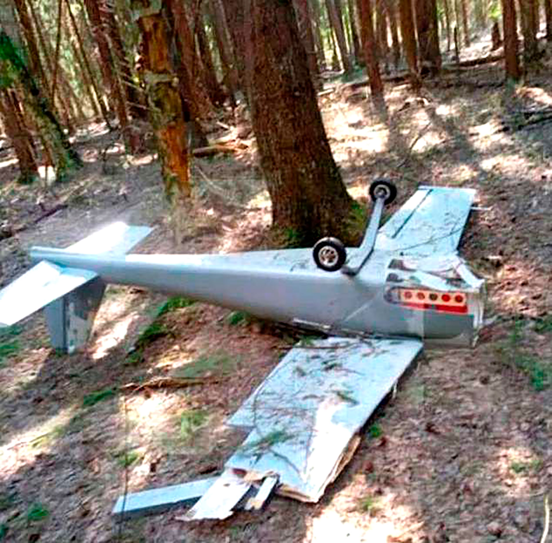 El drone que se estrelló en territorio ucraniano (fotos: via Bild)