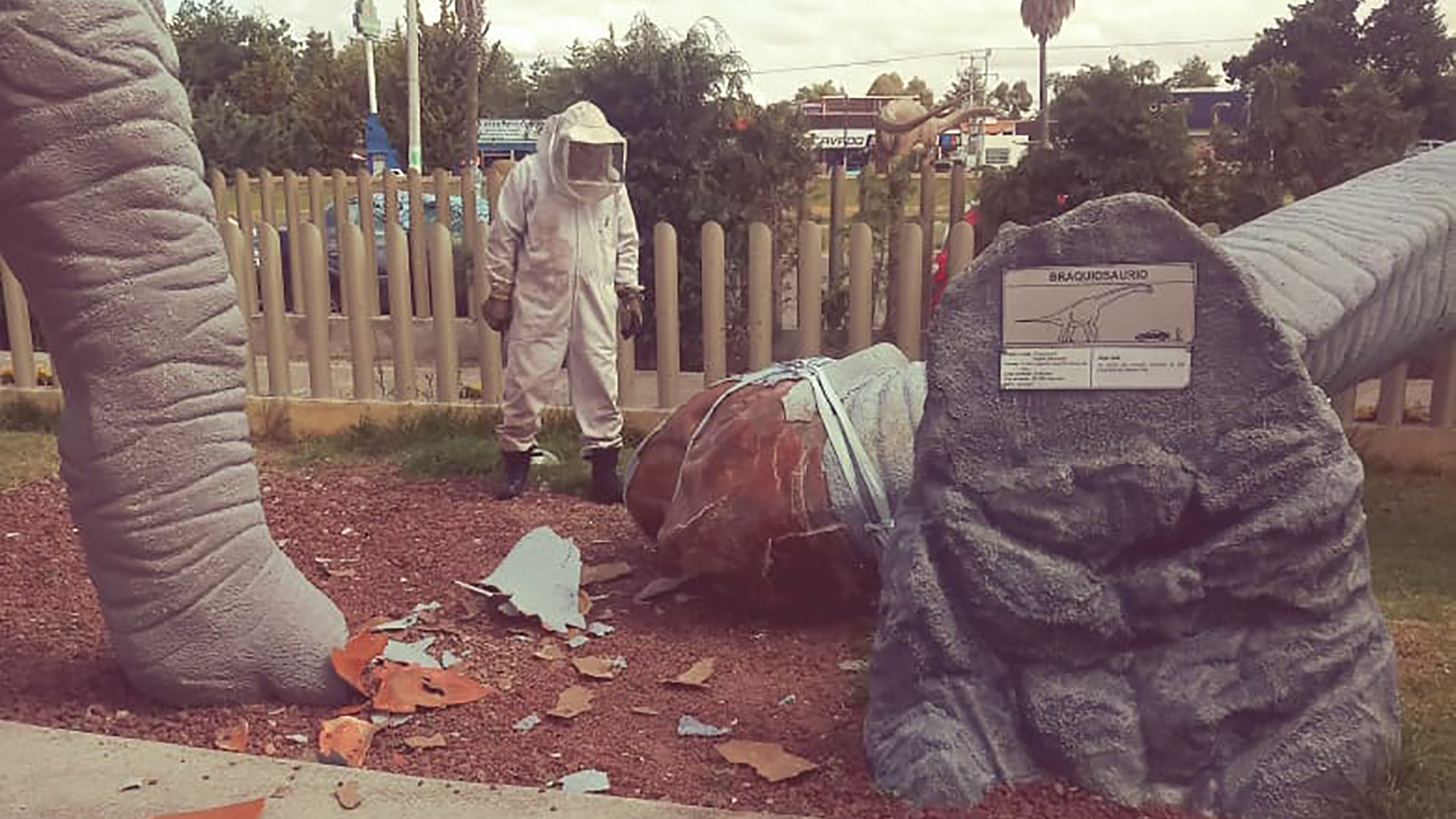 Evacuaron parque interactivo por ataque de abejas en Hidalgo - Infobae