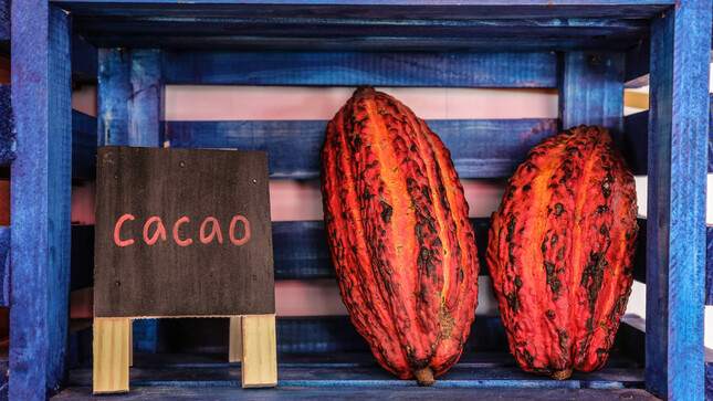 Exportación peruana de cacao y derivados alcanzó US$ 167 millones en julio