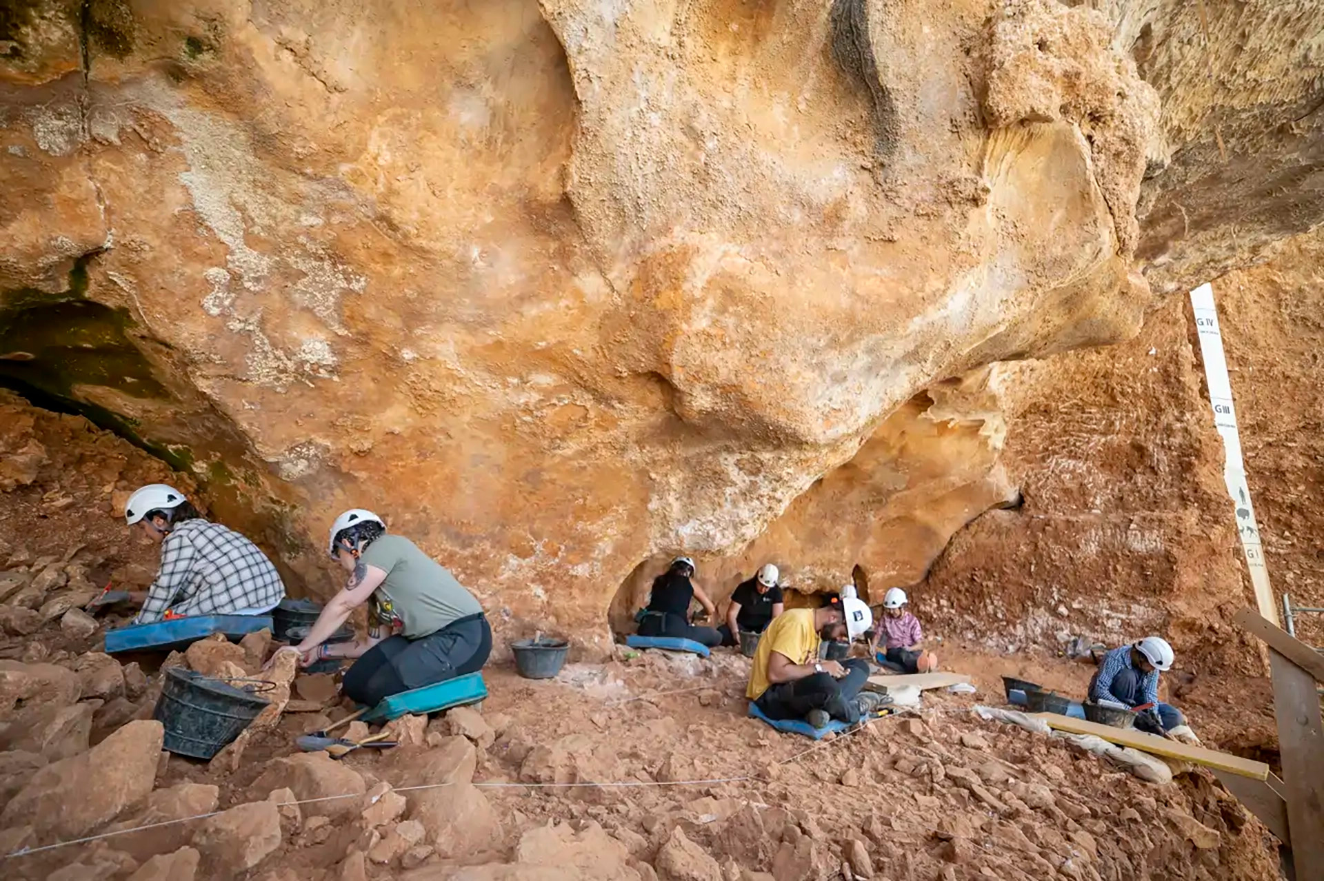 Una vértebra infantil, marcas de corte y el enigma del canibalismo: el hallazgo en Atapuerca que reabre viejos debates científicos