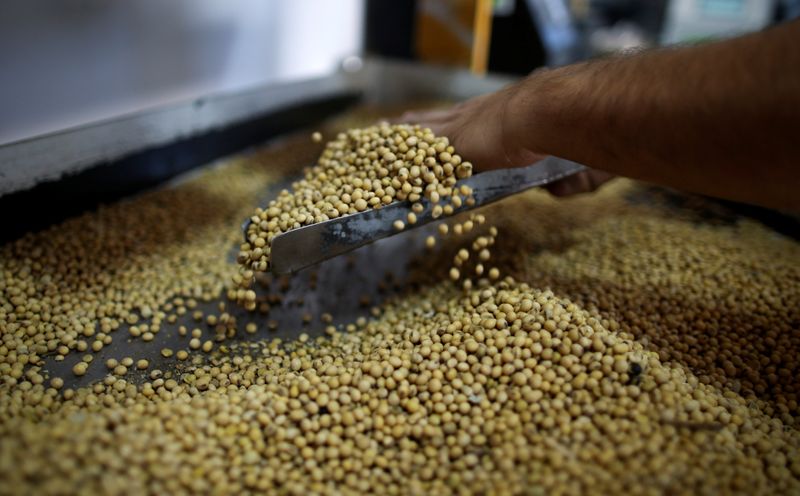 Imagen de archivo de granos de soja en una planta de almacenamiento de Grobocopatel Hermanos en Carlos Casares, Argentina. 16 abril 2018. REUTERS/Agustín Marcarian
