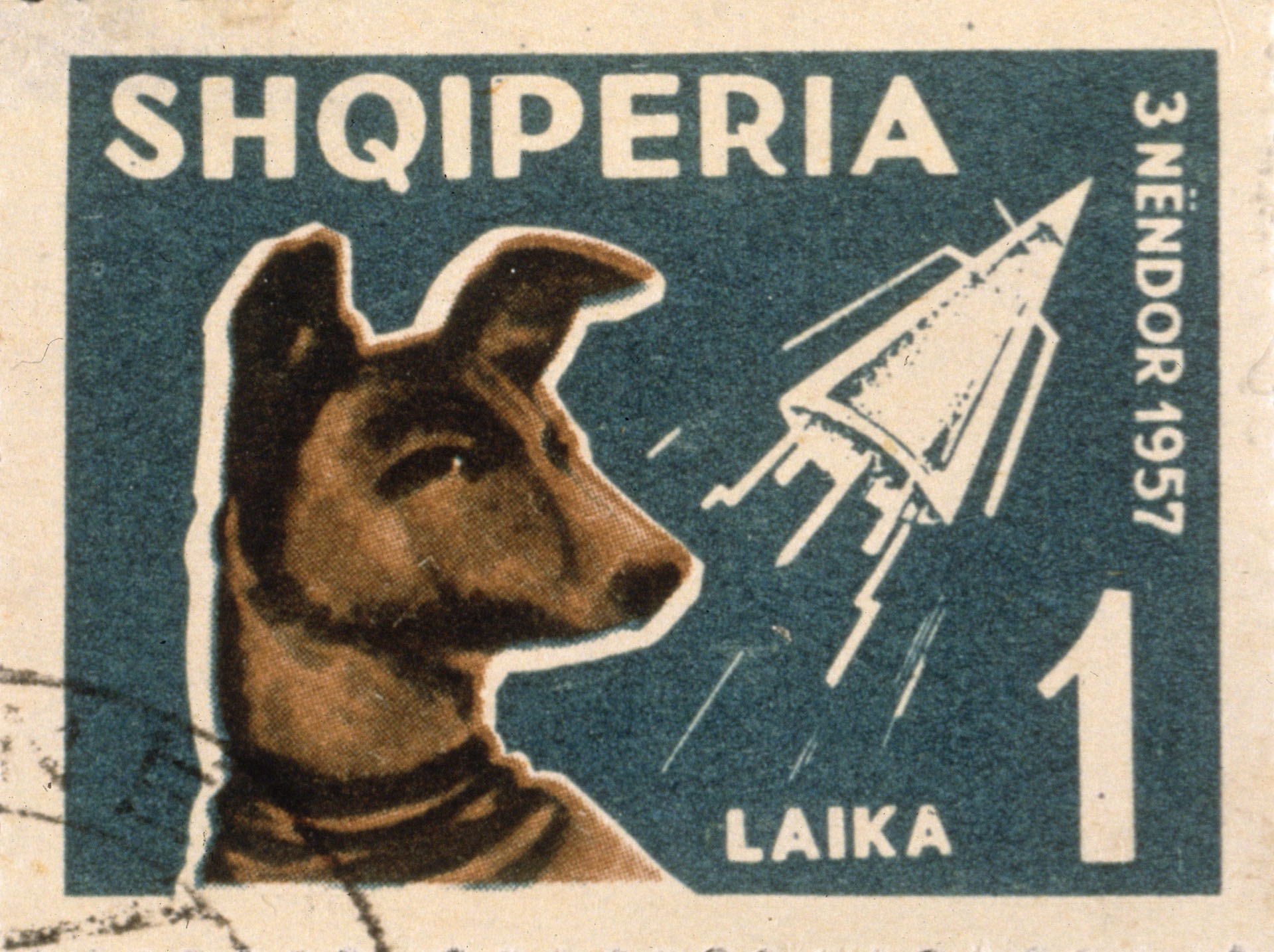 Una estampilla de Albania -país satélite de la URSS- de 1957 con Laika. El nombre albanés era Shqiperia (Photo by Blank Archives/Getty Images)
