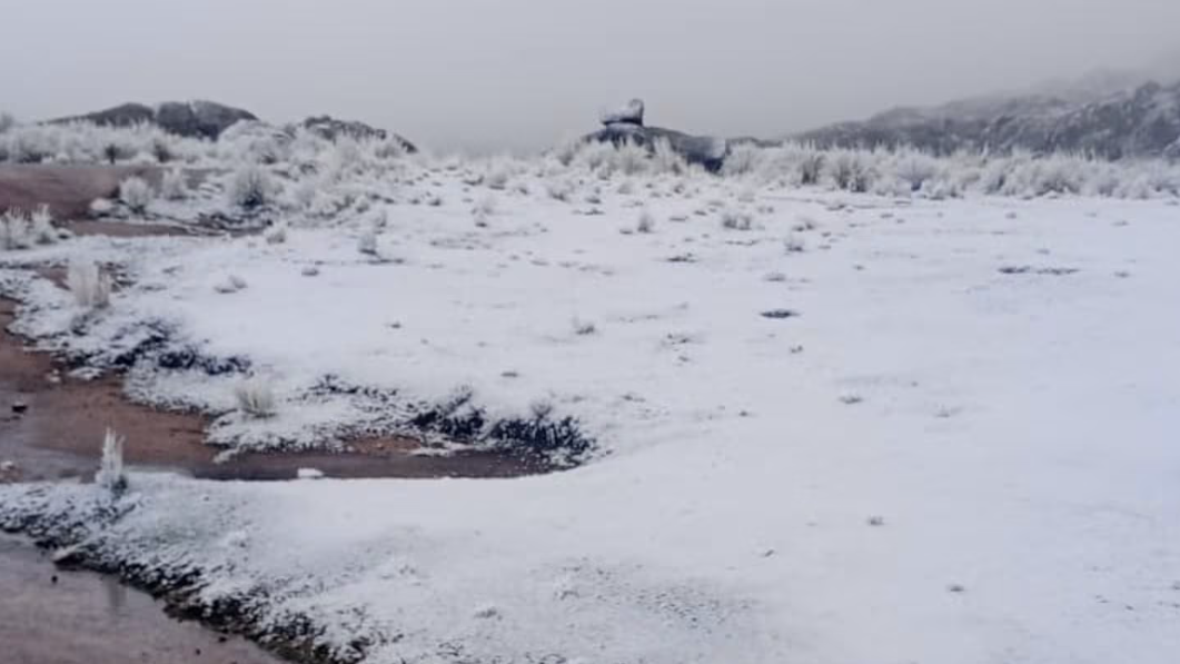 Héctor Daer criticó el baile de Cristina Kirchner tras la derrota en las elecciones: “No le cayó bien a nadie”