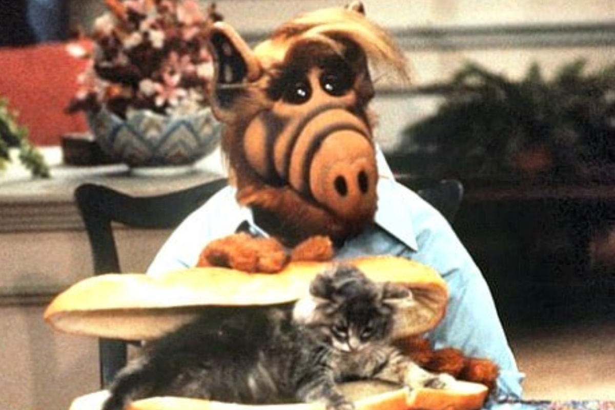 Viviendo con los Tanner, Alf debe olvidar que le gusta alimentarse de gatos. (NBC)