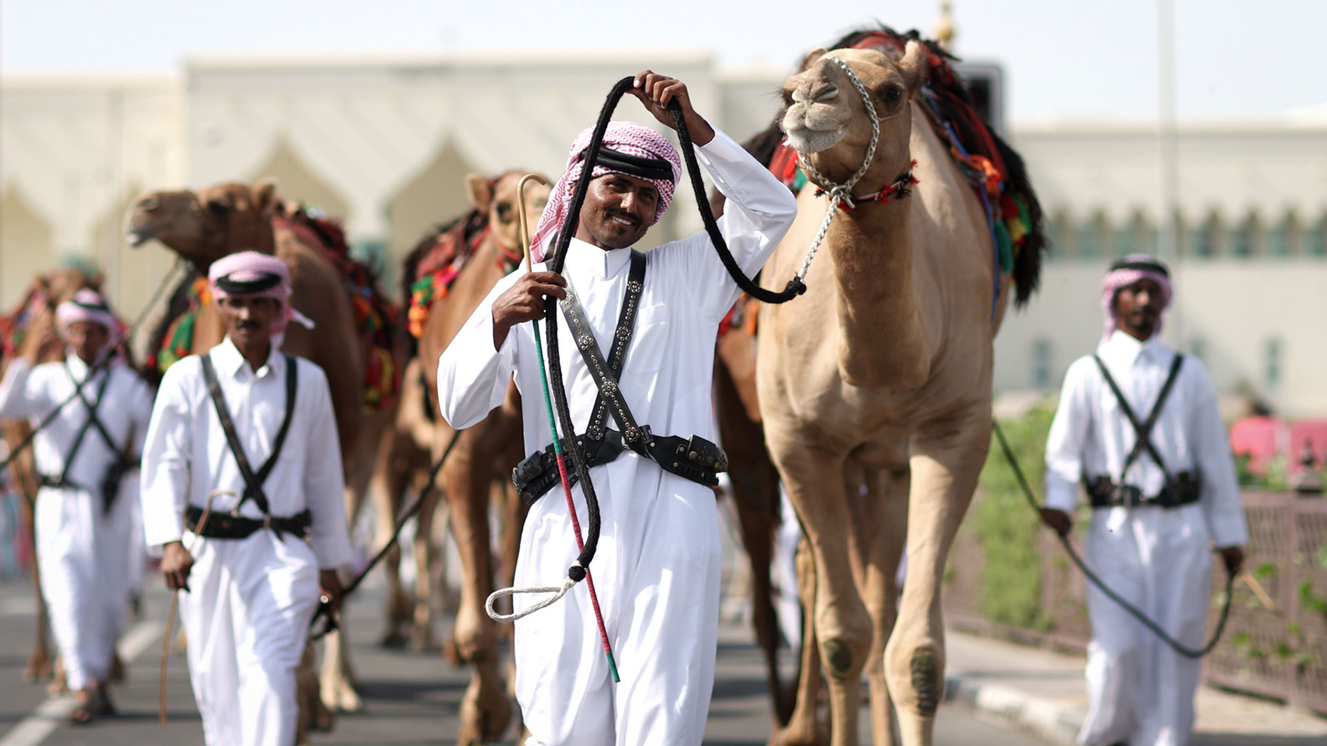 Científicos advirtieron hay "riesgo real" de que las personas que fueron a Qatar por el Mundial de Fútbol adquieran el virus que causa el MERS y se generen broten cuando vuelvan a sus países  (Photo by Alex Pantling/Getty Images)