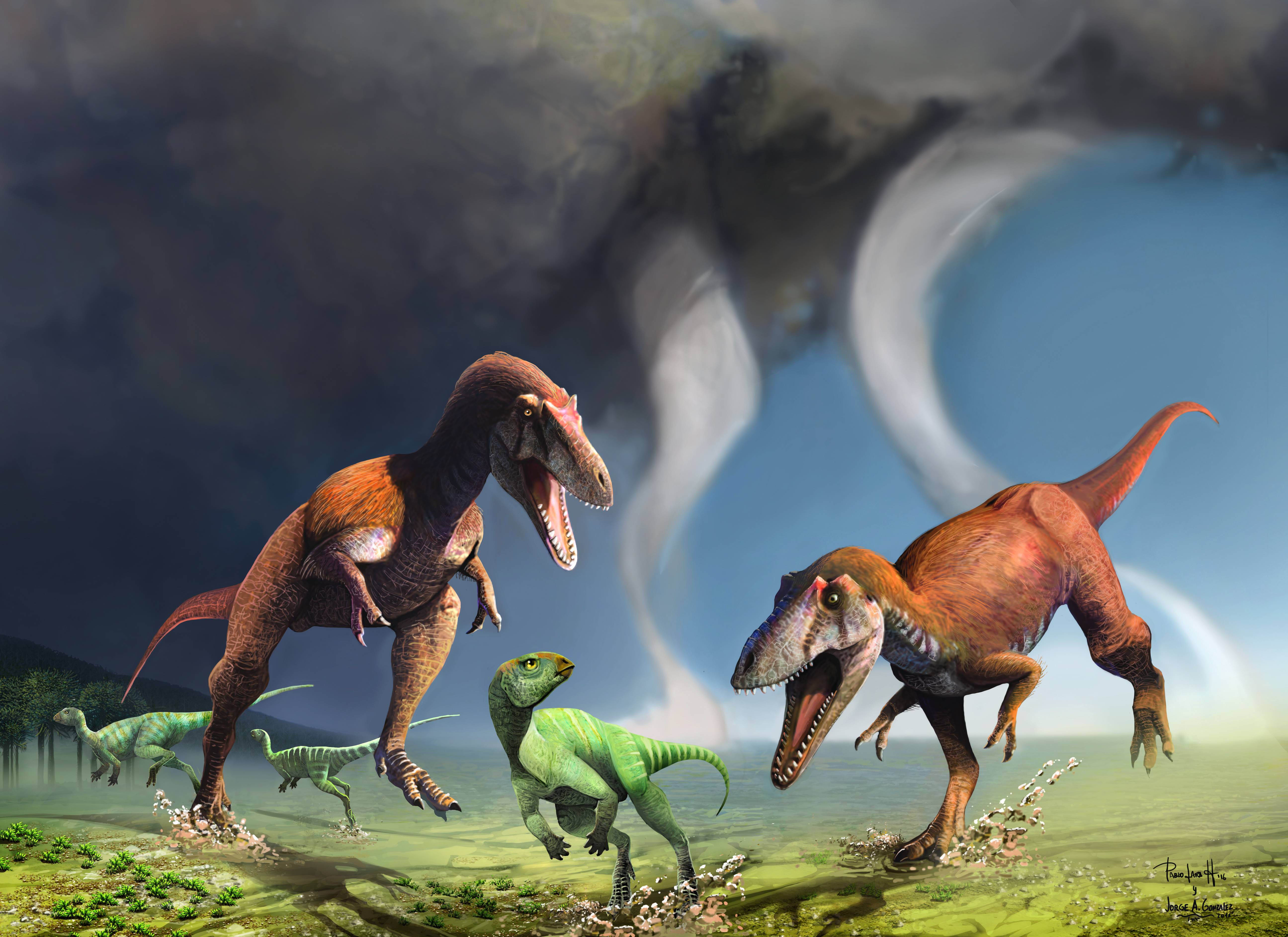 Así fue como las aves lograron sobrevivir a la extinción masiva durante la  era de los dinosaurios - Infobae
