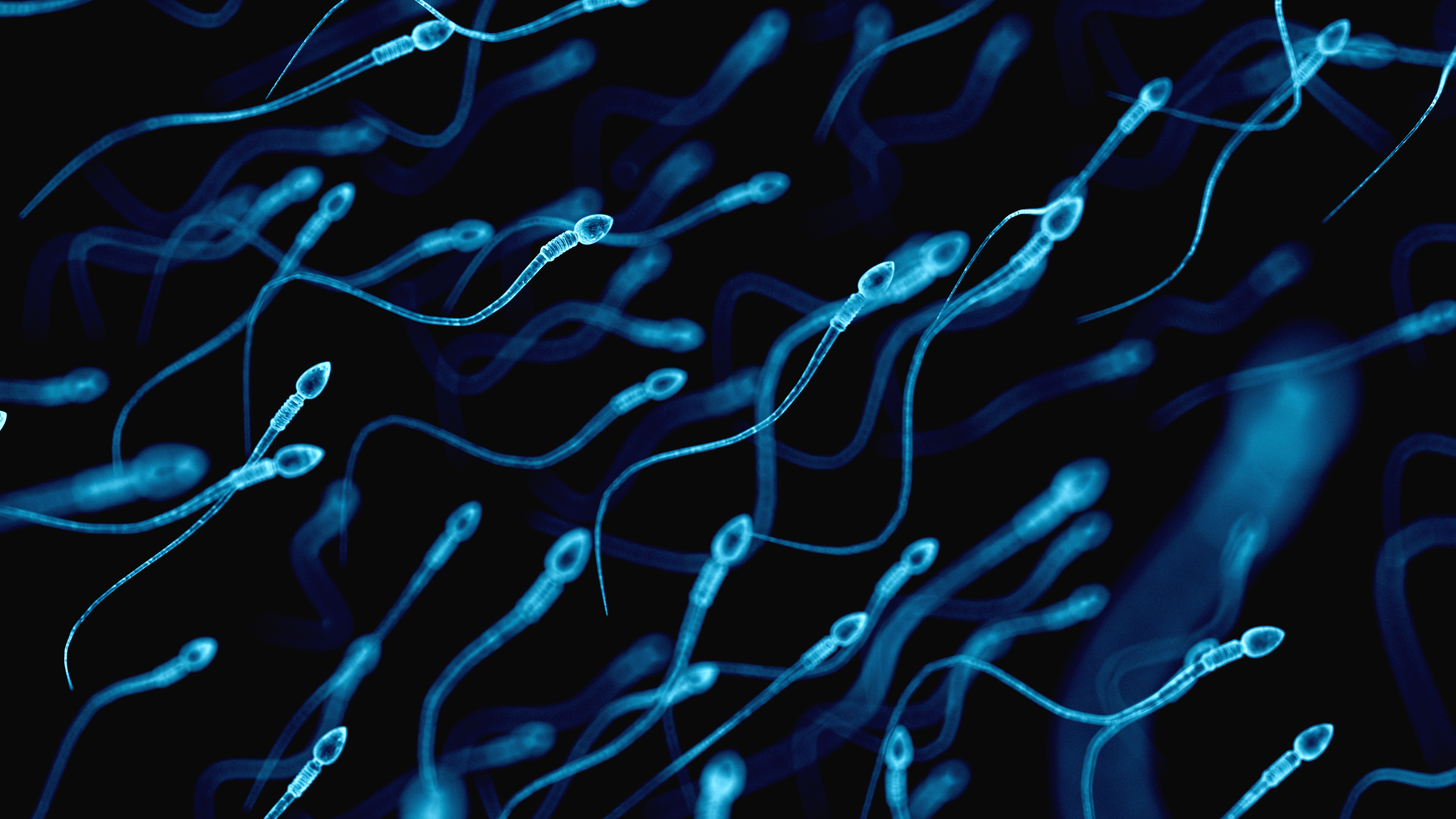 El nuevo método hace que el espermatozoide adquiera capacidad de movimiento, que es crítica para el éxito de las fecundaciones (iStock)