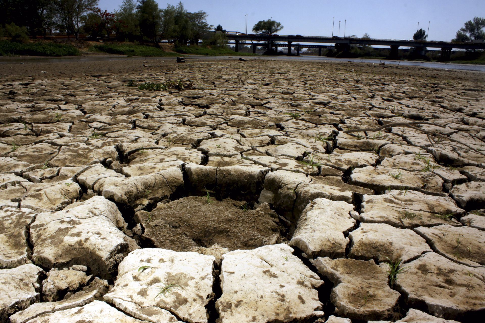 Las condiciones más criticas de sequía están en 10 localidades de Sonora y Chihuahua (Foto: Cuartoscuro)