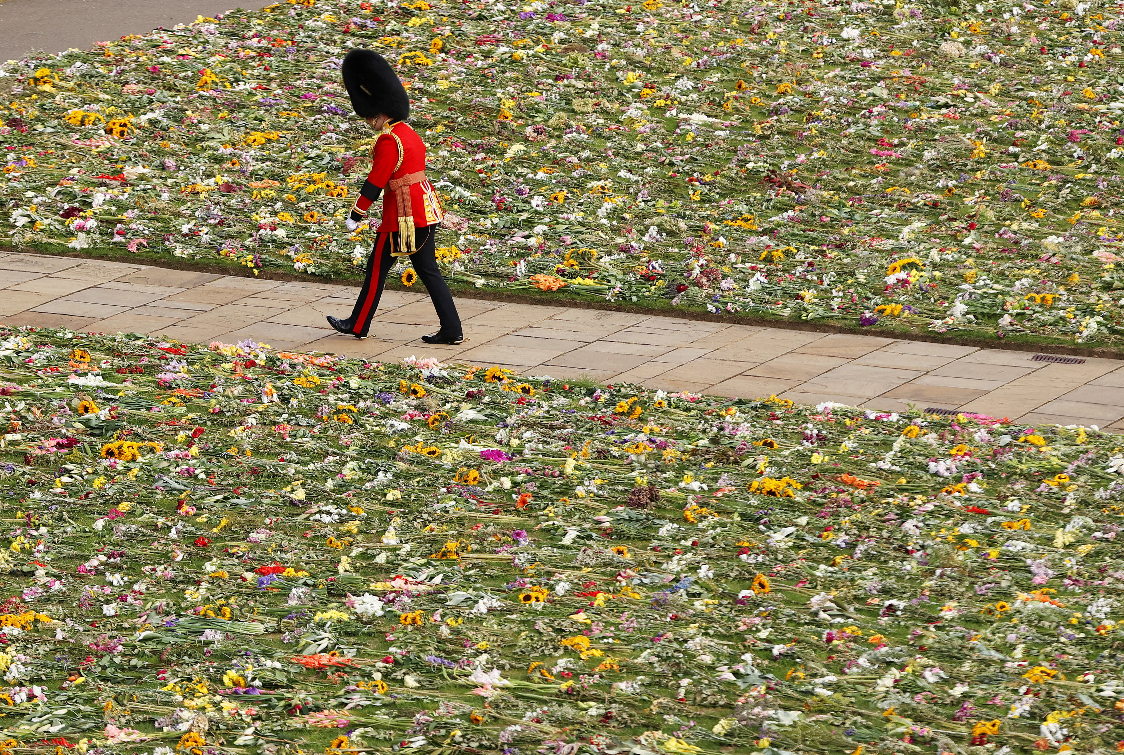 Se ve a un miembro de la Guardia de Coldstream caminando junto a un lecho de flores durante el funeral estatal. 