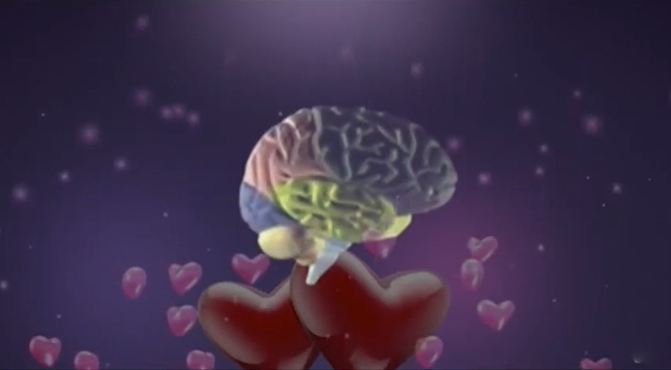 Cuáles son los beneficios para el cerebro que genera el enamoramiento