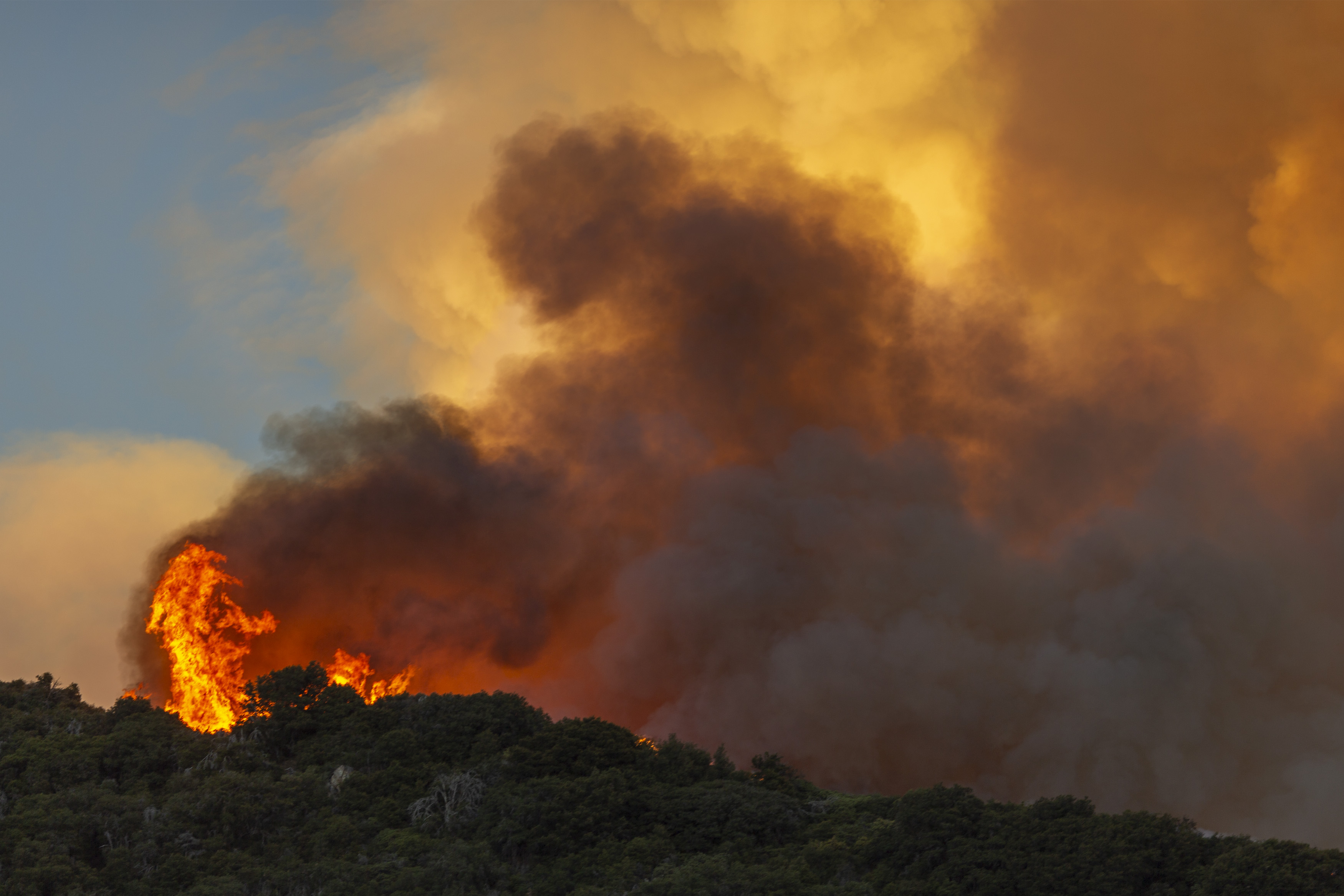 Os incêndios florestais são geralmente uma consequência das alterações climáticas/David McNew/Getty Images/AFP