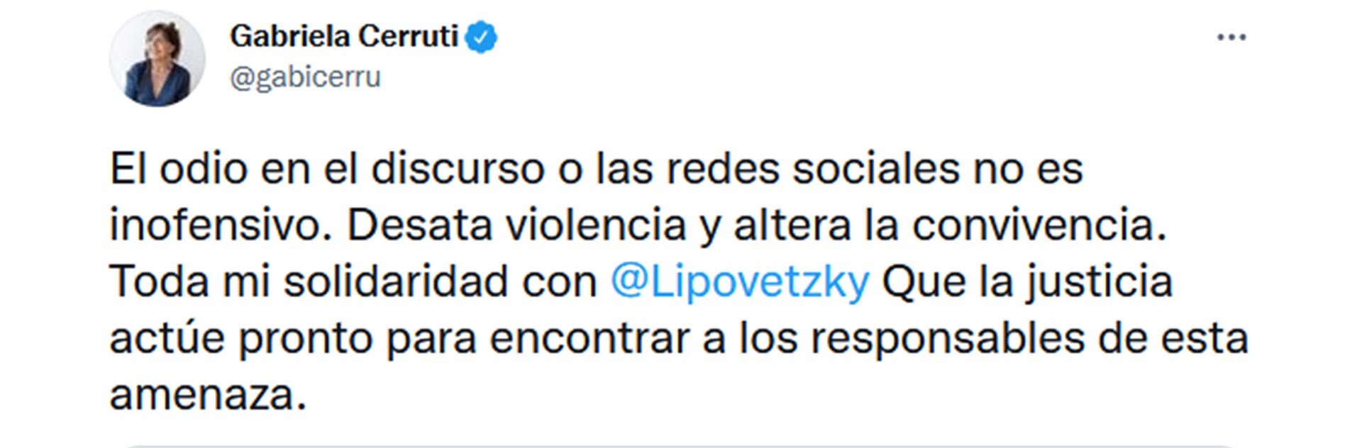 La portavoz del gobierno nacional, Gabriela Cerruti se solidarizó con el diputado Daniel Lipovesky tras las amenazas de muerte que sufrió