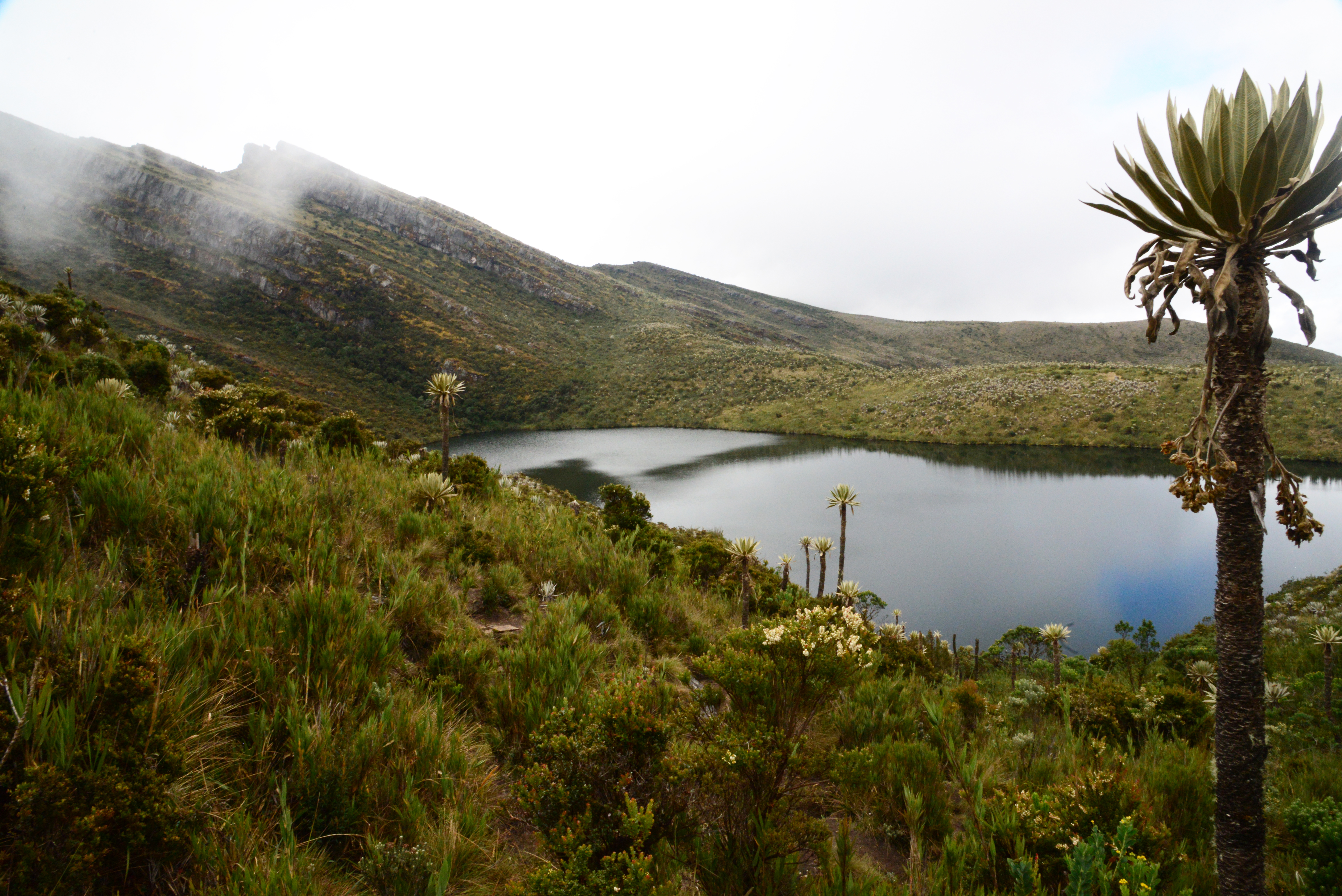 Estos serán los nuevos servicios del Parque Nacional Natural Chingaza en el  2021 - Infobae