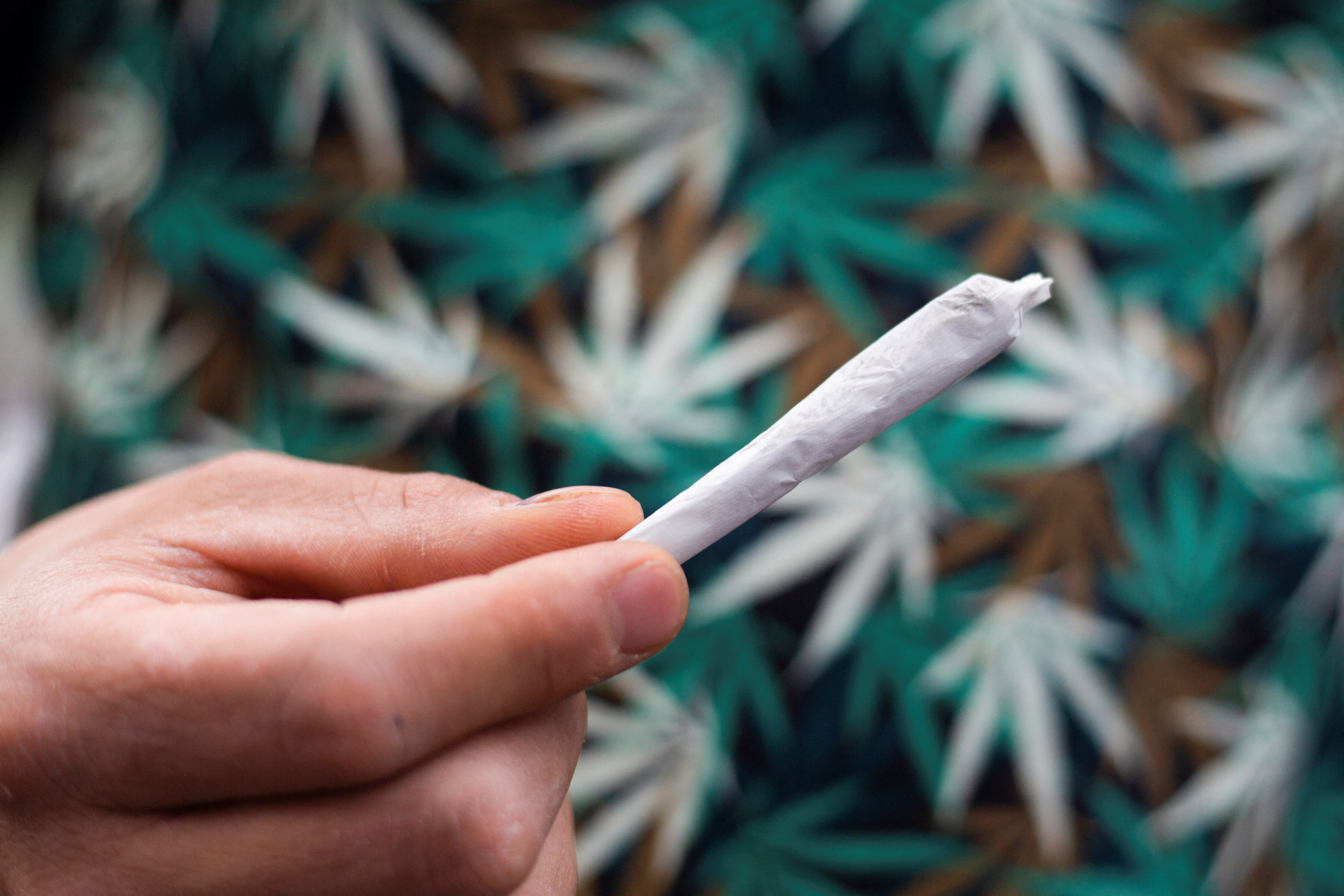 El abuso de cannabis en adolescentes en los Estados Unidos ha aumentado alrededor de un 245%  (Reuters)