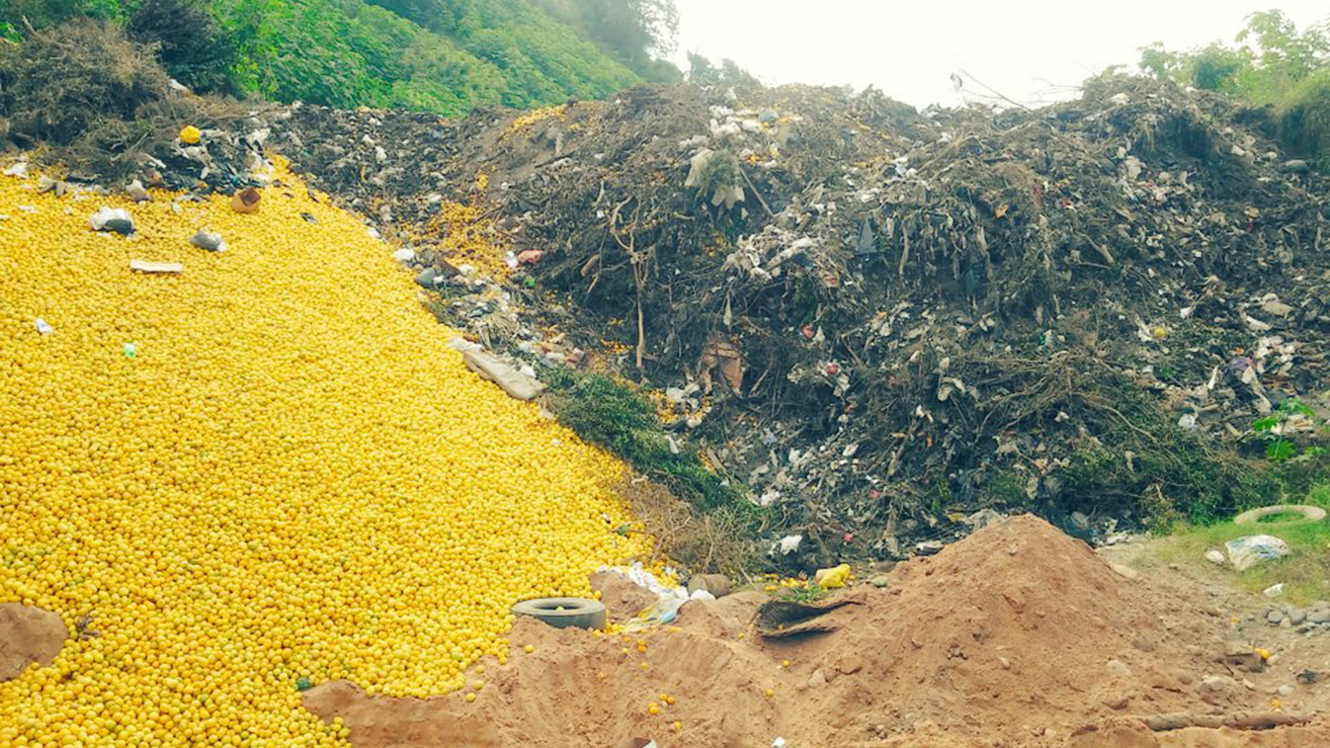 Lemons on the floor in Tucman. It is the product that, after garlic, lost the most competitiveness (@IsaiasCisnero)