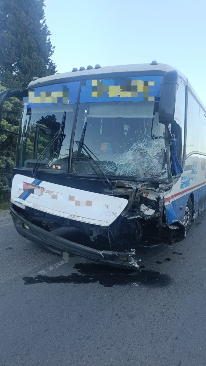 Cuáles son los 15 autos 0 km más baratos del mercado en octubre
