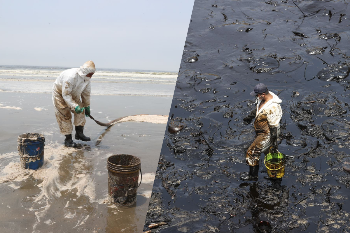 Crece el impacto ambiental del derrame de petróleo de Repsol en la costa peruana. Fotos: Andina