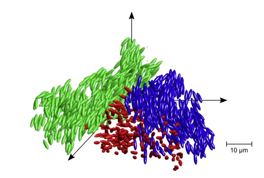 Científicos Descubrieron Un Nuevo Estado De La Materia En Otra Dimensión Infobae 9559