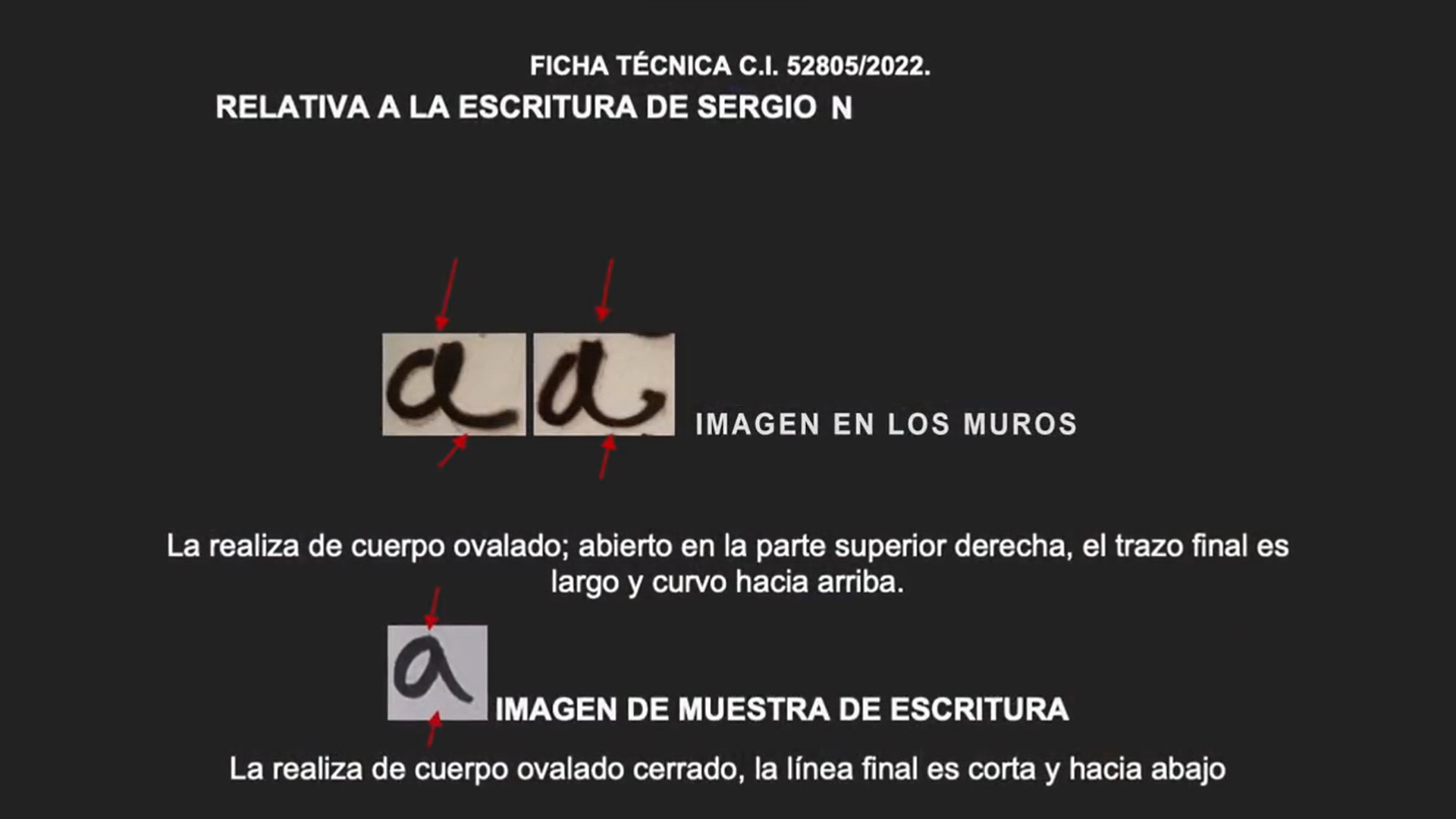 Análisis comparativo entre la escritura de los muros y la de Sergio "N" (Foto: Captura de pantalla)