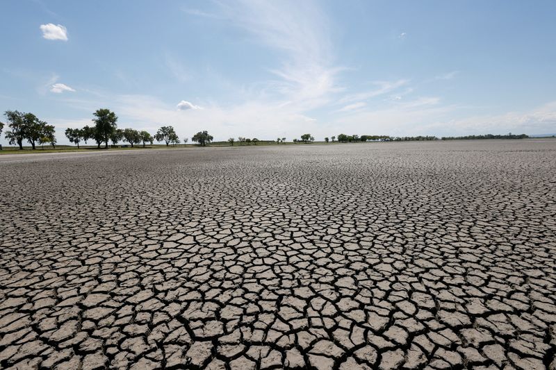 “Hay muchas investigaciones climáticas que dicen que las olas de calor van a ocurrir con más frecuencia -concluyó Thompson. Los formuladores de políticas deben asegurarse de estar preparados para eventos más allá de lo que creemos que podría suceder” (REUTERS/Leonhard Foeger)