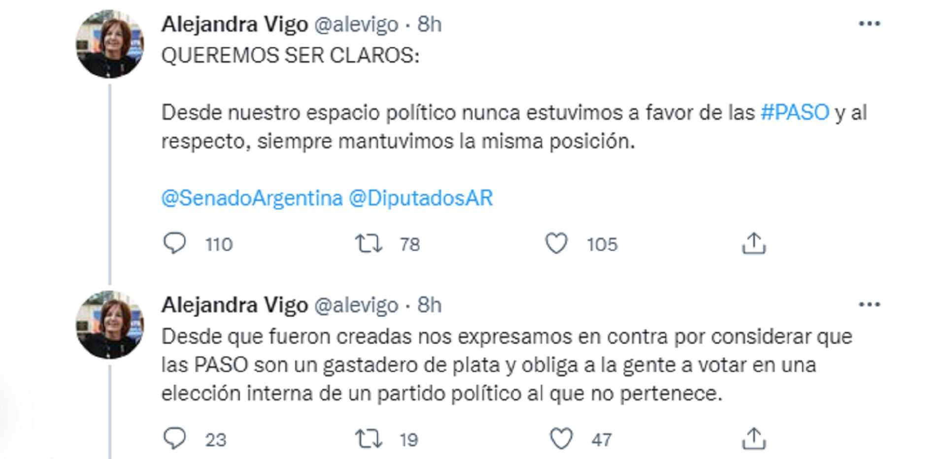 La senadora Alejandra Vigo criticó las PASO