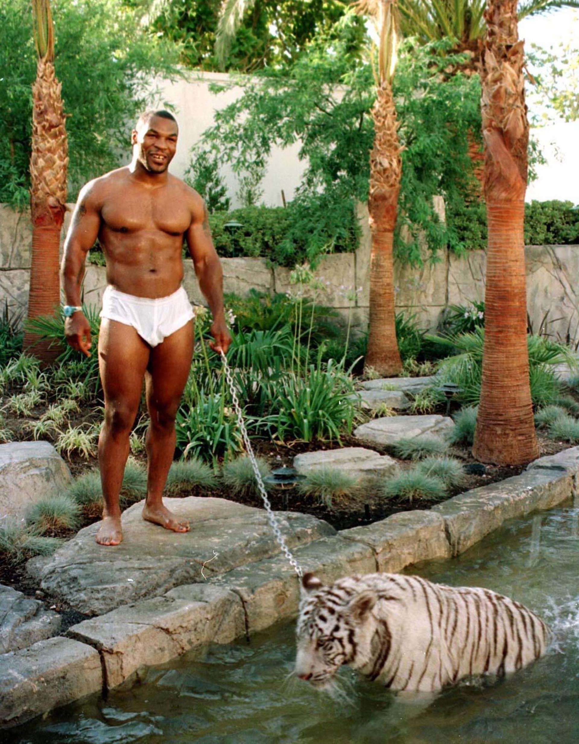 Mike Tyson tuvo a Kenia durante 16 años (Shutterstock)