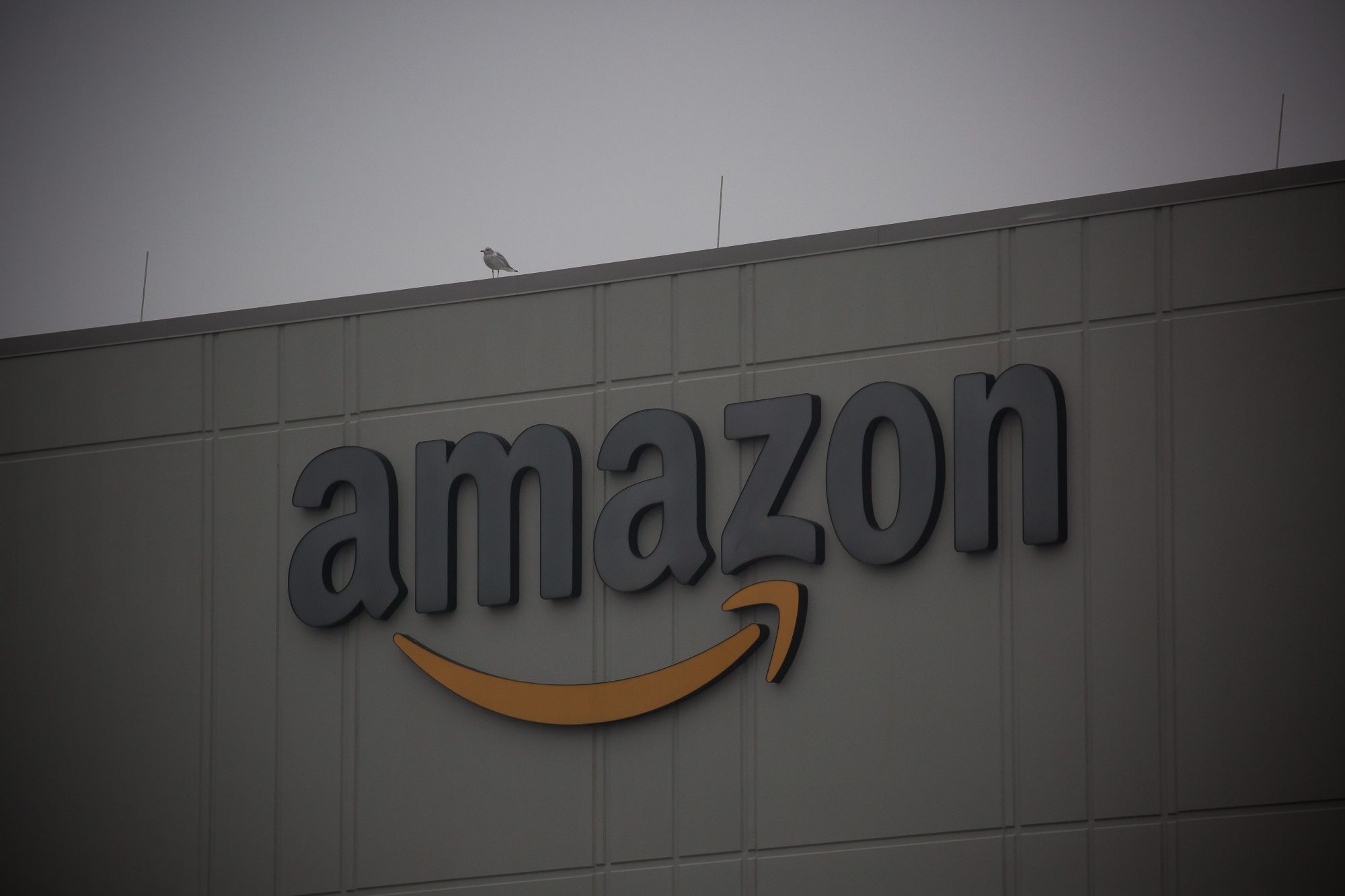 Amazon comenzó con el despido masivo de empleados de la división de dispositivos que popularizó a Alexa
