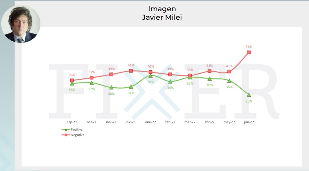 La imagen de Javier Milei en la encuesta de junio (Fuente: Fixer)
