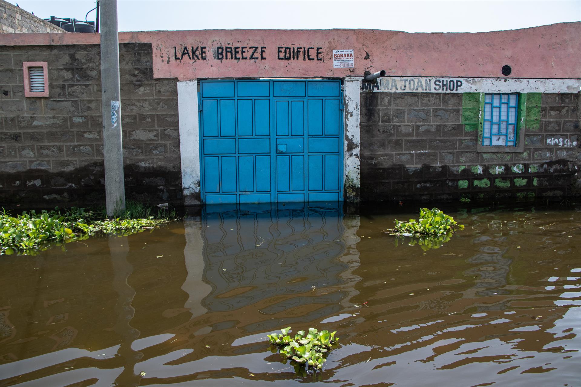 Fin de semana con tiempo cambiante en CABA: un sábado primaveral y pronóstico de lluvias para el domingo