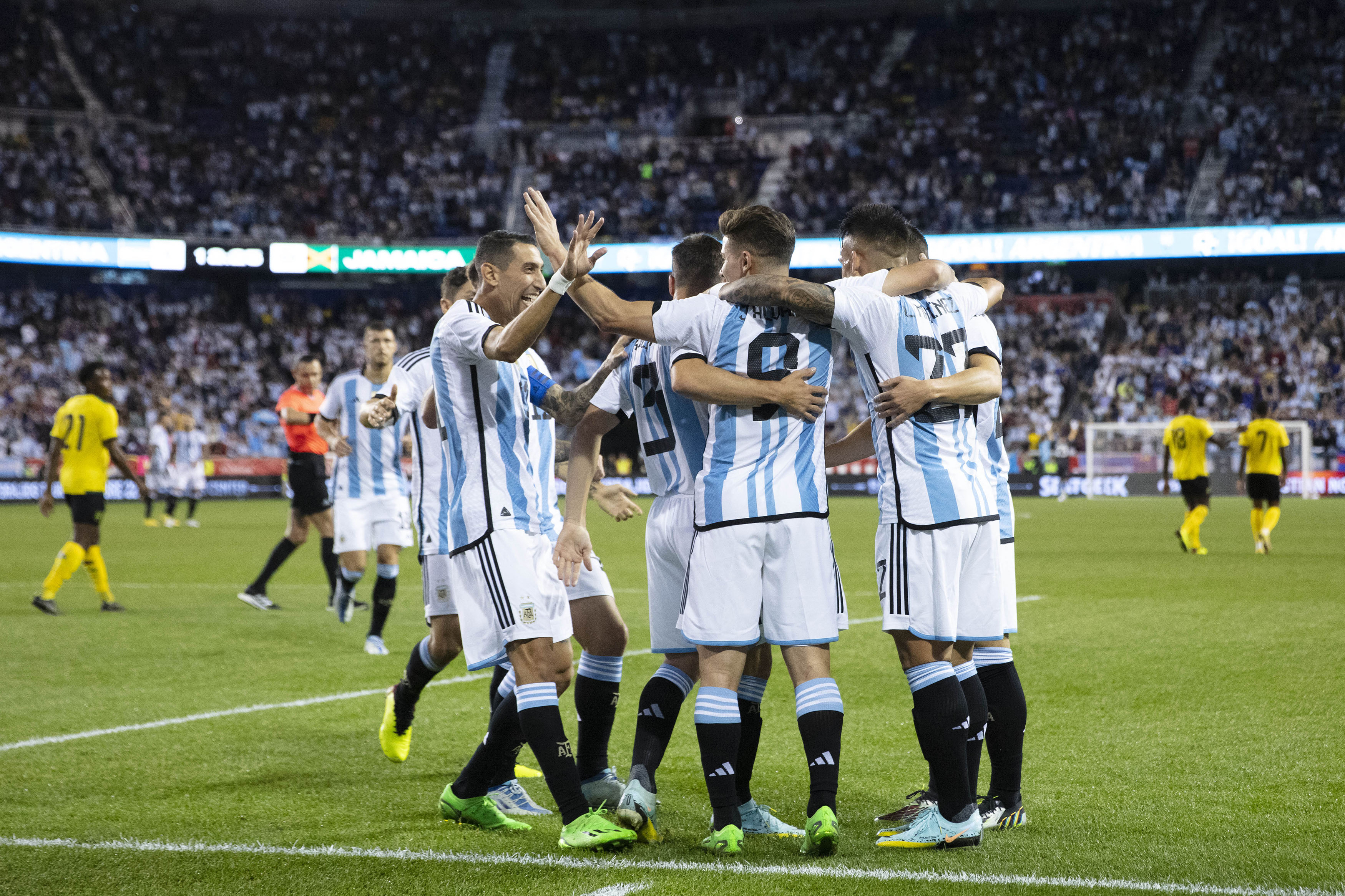 Argentina llega al Mundial como campeona de América y con un invicto de 35 partidos (Foto: AFP)