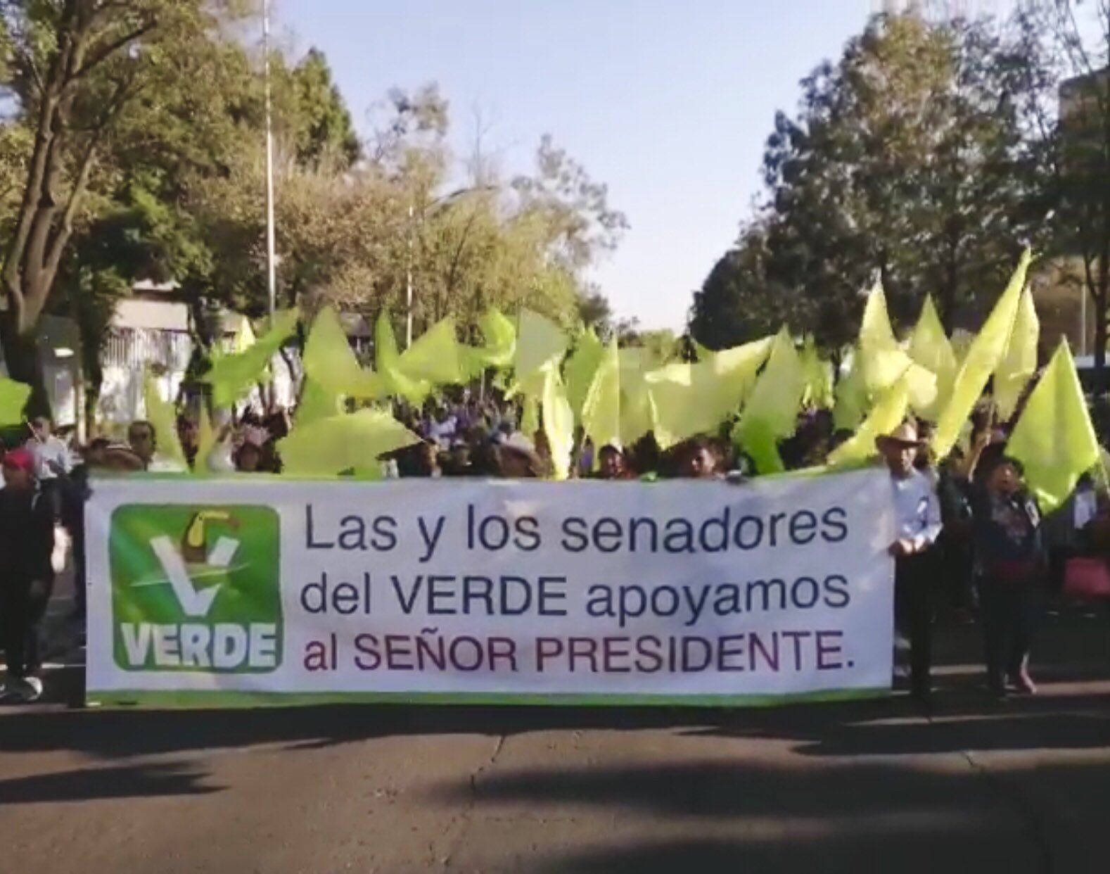 Marcha de AMLO: senadores del Partido Verde se unieron a la manifestación 