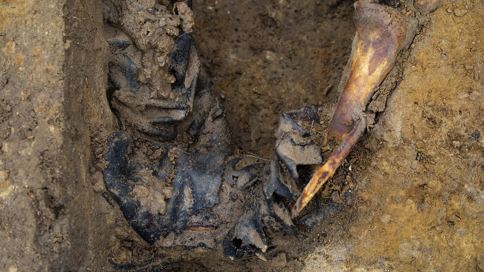 Una vista de huesos clavados en una bota, parte de los restos de un soldado soviético exhumados, durante una búsqueda de soldados caídos de la Segunda Guerra Mundial cerca del pueblo de Klessin, en Alemania (Foto AP / Markus Schreiber)