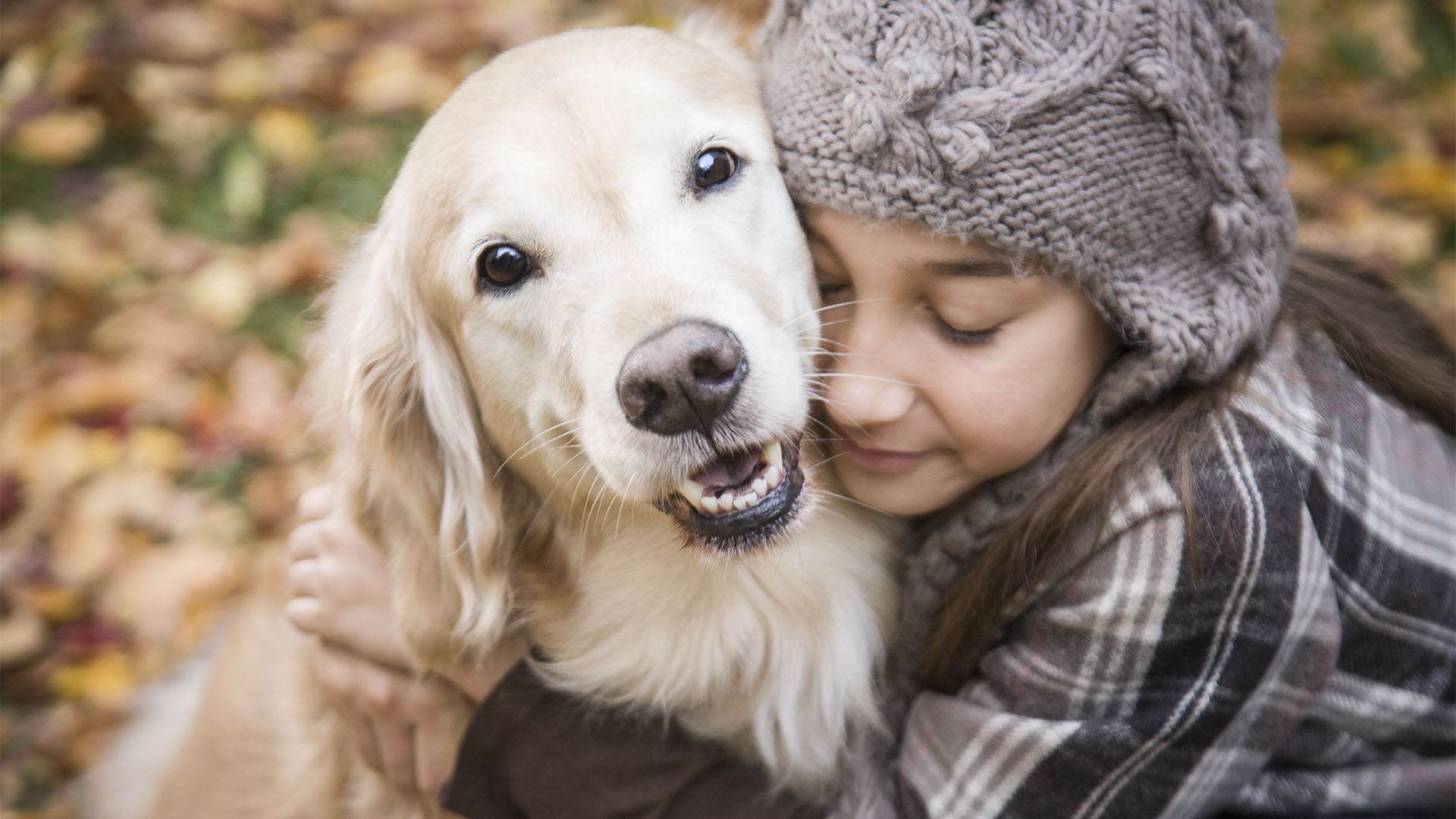 Los perros y la memoria: cómo hacen para olvidar a sus afectos 