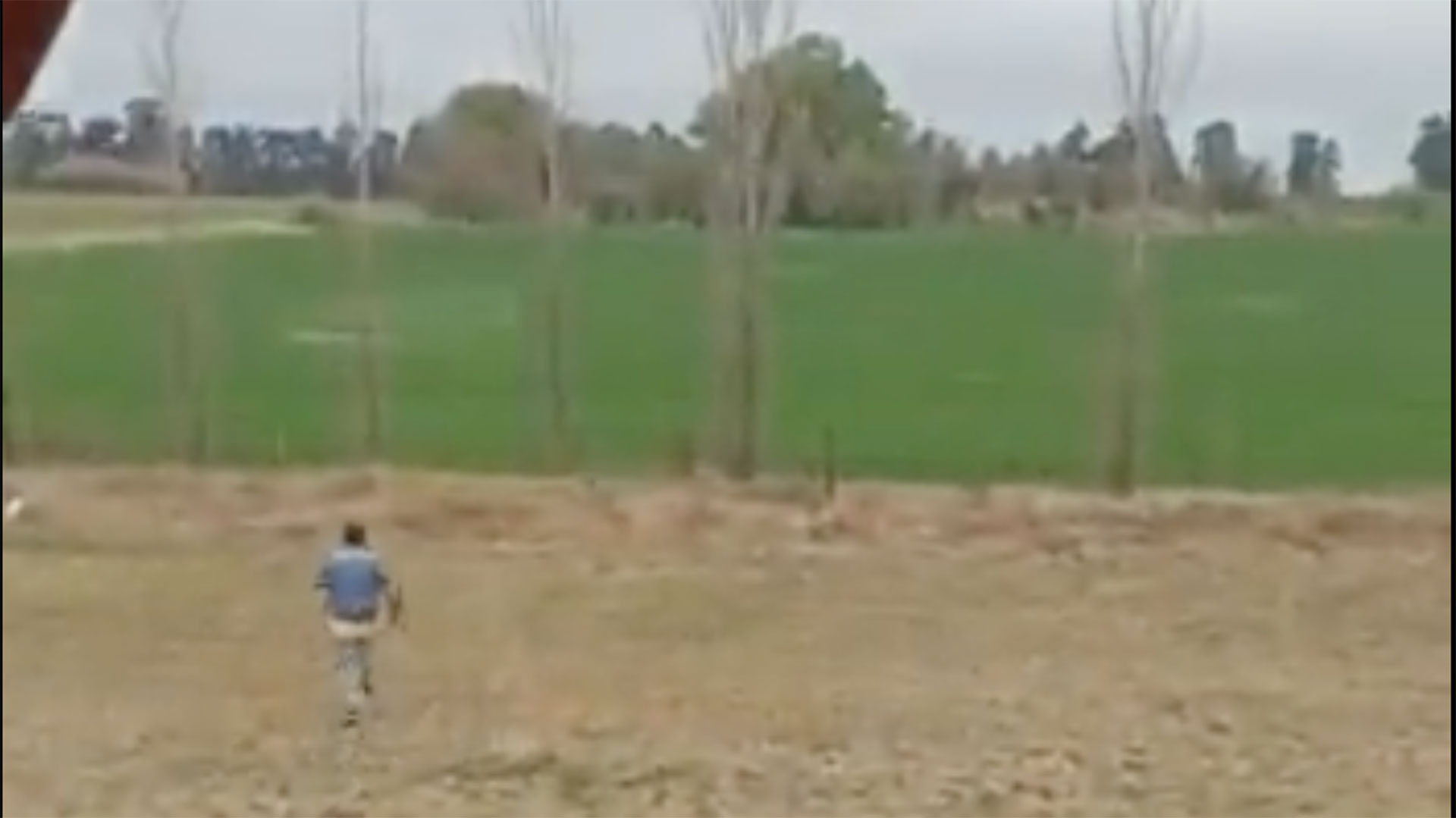 Conmoción en Uruguay: Joven en crisis mental fue sacado a la fuerza de un ómnibus, fue atropellado y esta grave 2 XSMCJFD75ZDLZI6ZFZYQDLT5I4