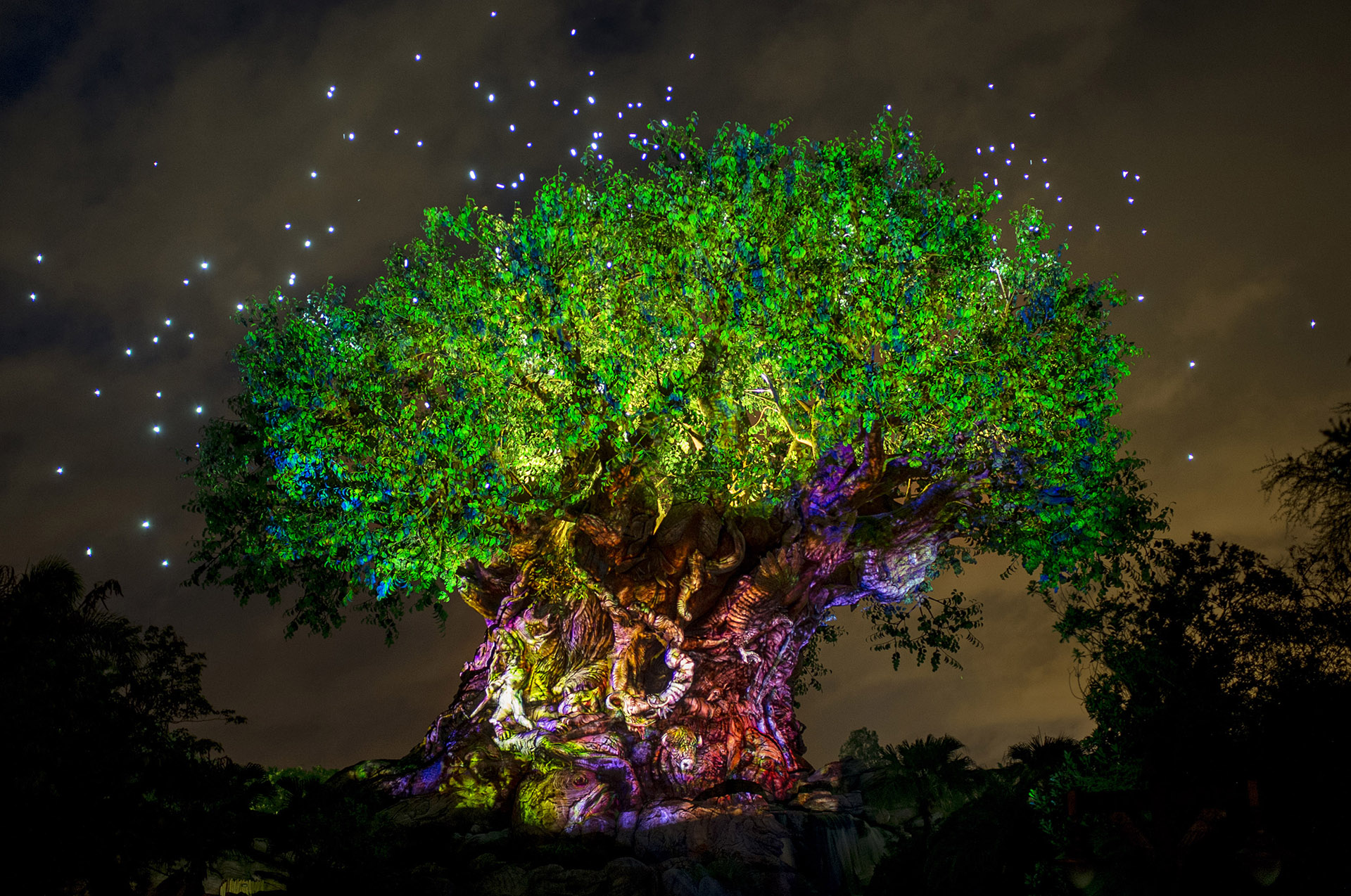 Árbol de la vida
Disney