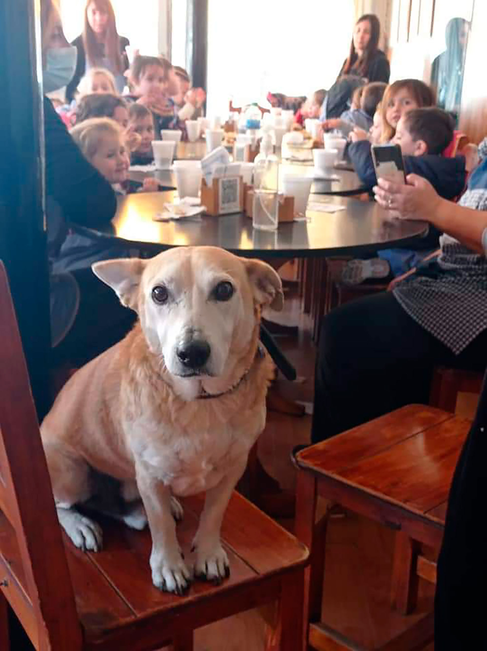 Corchito fue visitado por niños de un jardín de infantes (@dickens_restobar)