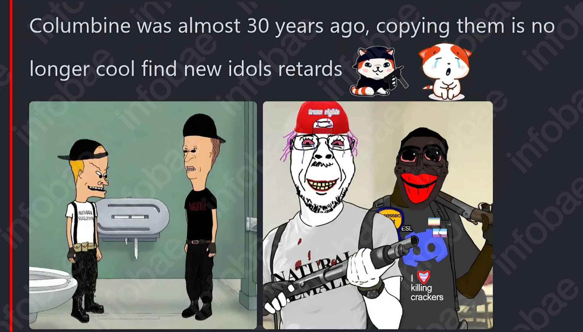 San Crist&oacute;bal: qu&eacute; dice el informe oficial que alerta sobre True Crime Community, la red que incita masacres escolares 