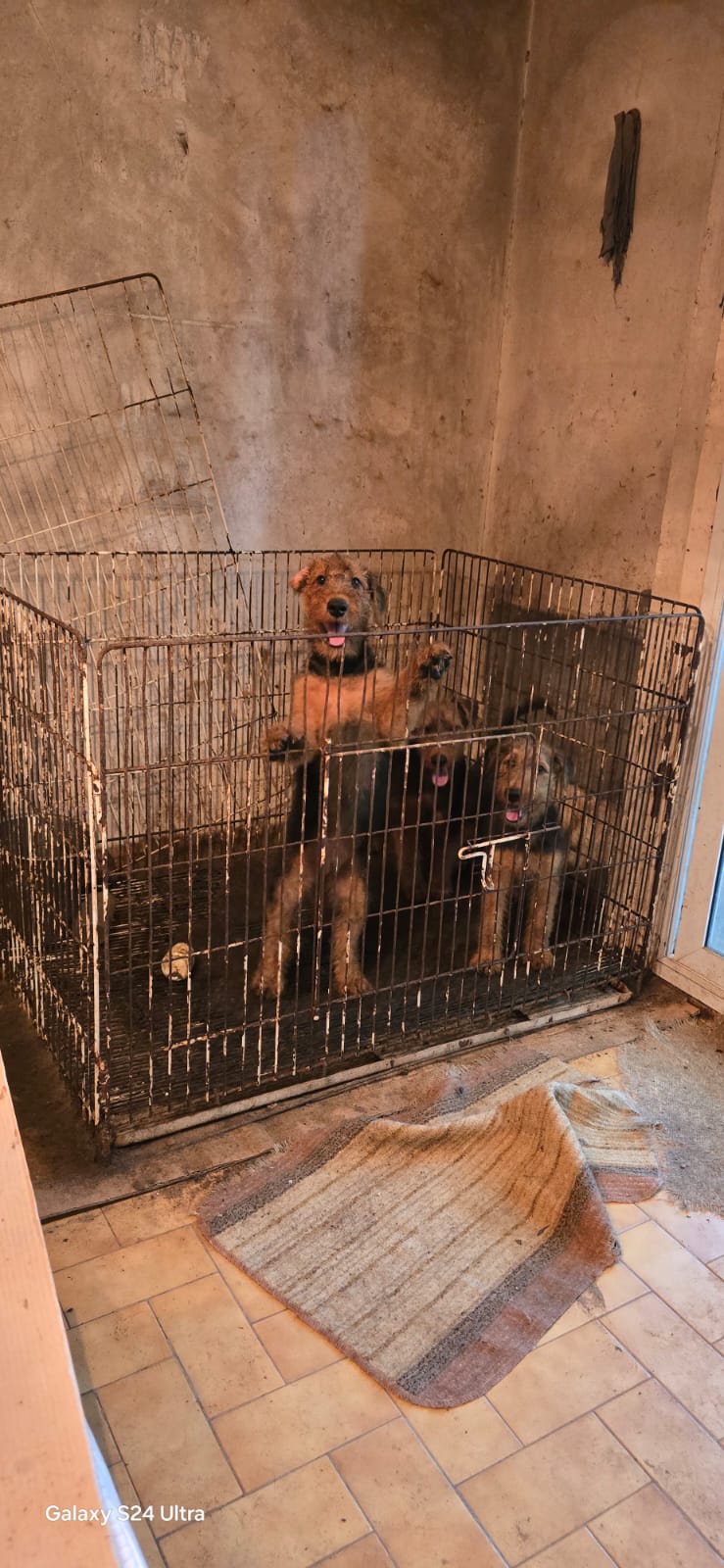 Golpe en un taller clandestino de La Plata que funcionaba como desarmadero de motos