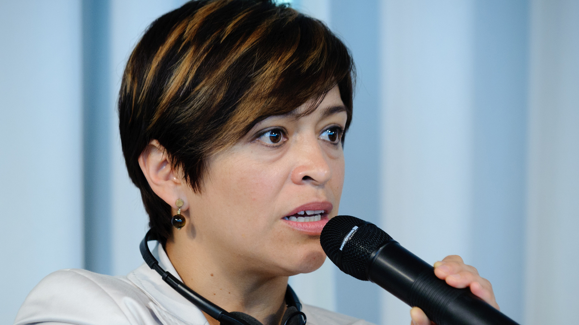 Anabel Hernández expuso que la FGR sabía de las irregulariadades en la contratación del ex madno policial (Foto: Wikimedia commons)