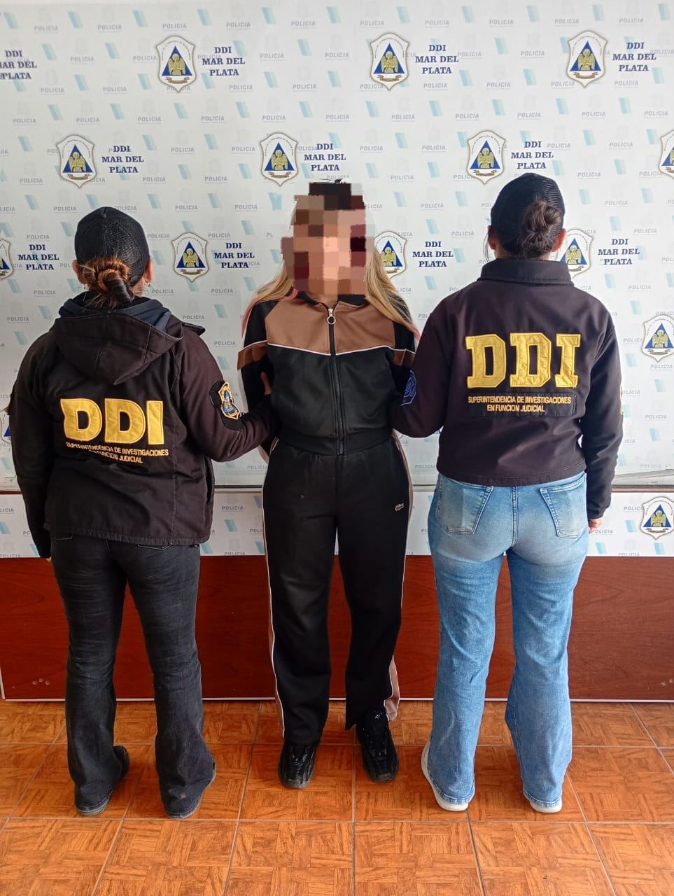 La fiscalía pidió hasta un año de prisión por ciberacoso a Brigitte Macron