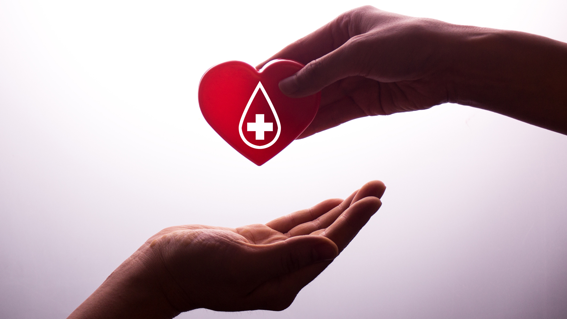 Un humano en favor de humano: existe un gran número de enfermedades o situaciones que pueden requerir una transfusión de sangre