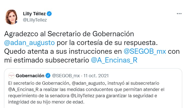 Fue hasta el 11 de octubre que la Secretaría de Gobernación aseguró a la legisladora que brindaría la protección necesaria a su hijo (Foto: Twitter/@LillyTellez)