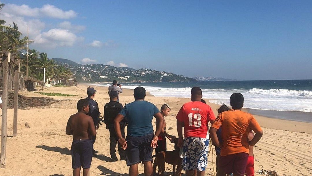 Presencia de cocodrilo alarmó a turistas y pobladores en playa de Acapulco  - Infobae