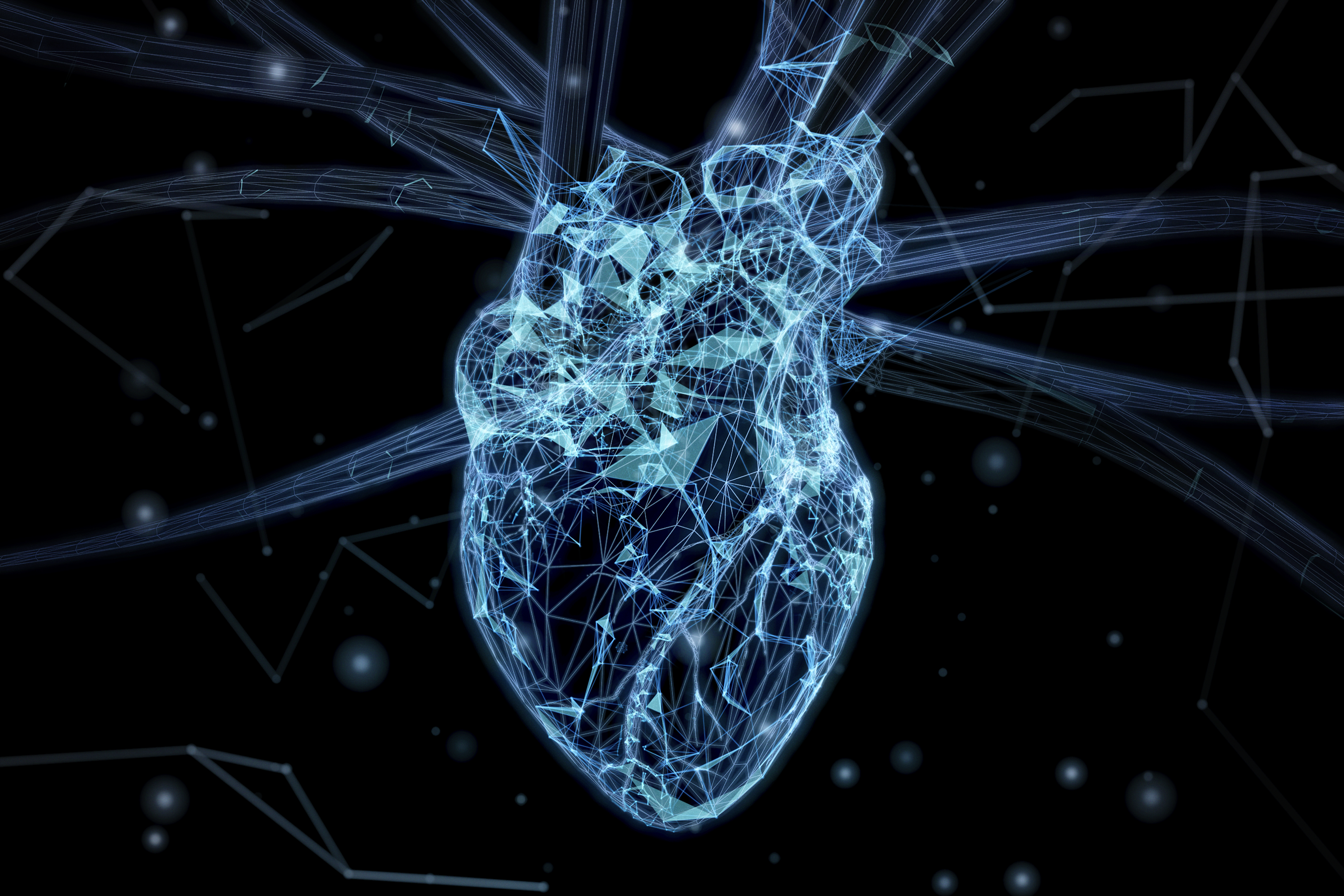 L'étude a été réalisée avec des échocardiogrammes, une technologie qui utilise des ondes sonores pour produire des images du cœur.