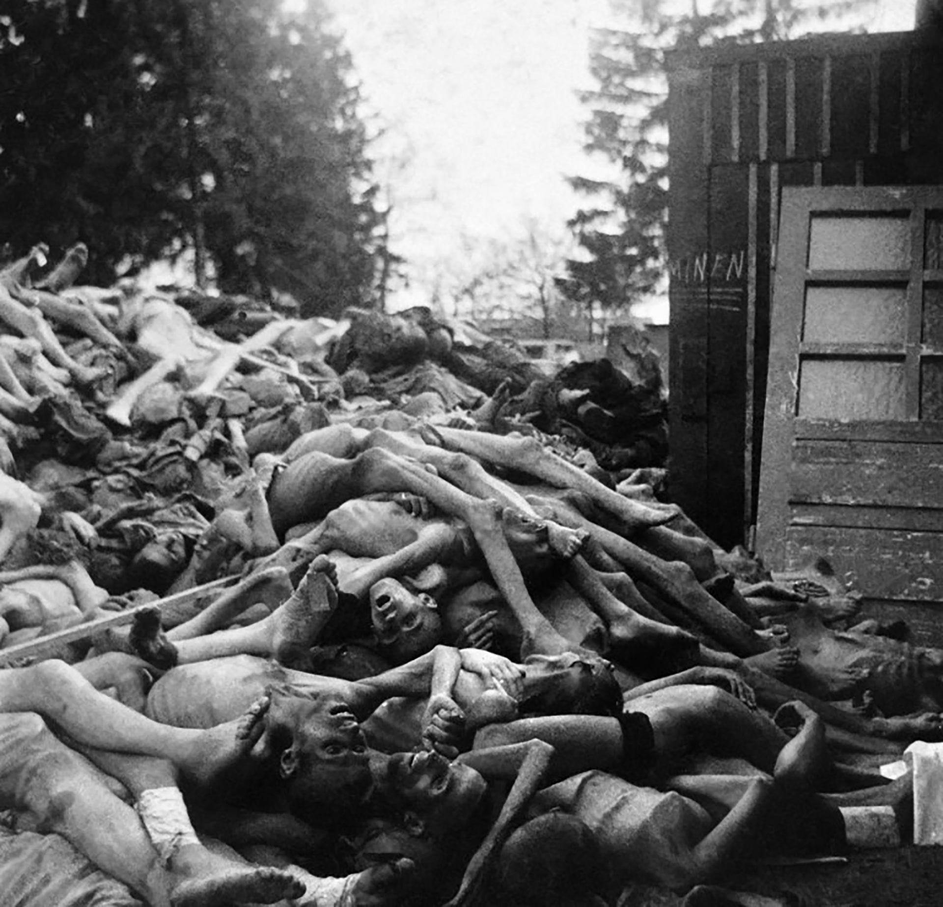 Buchenwald, Abril 1945. Cuando miré esas fotografías, algo cedió. Se había alcanzado algún límite, y no sólo el del horror", dijo Susan Sontag sobre las fotos de Schwab (AFP/ Eric Schwab)
