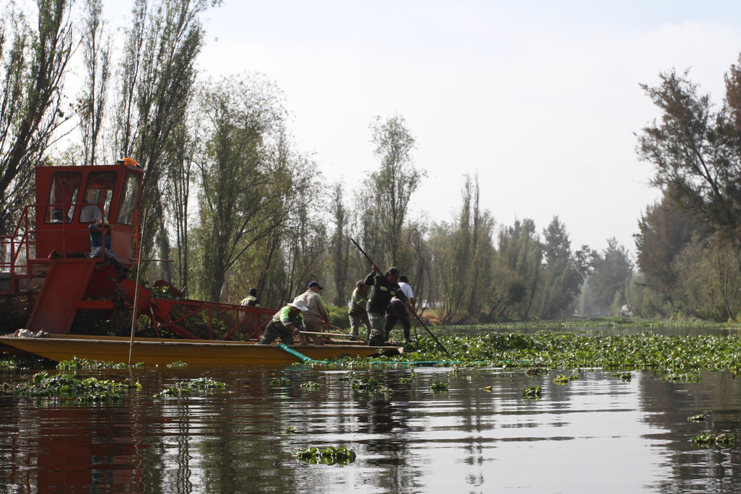 La FGJCDMX recuperó la Reserva Ecológica Paraje Izotitla en Xochimilco -  Infobae