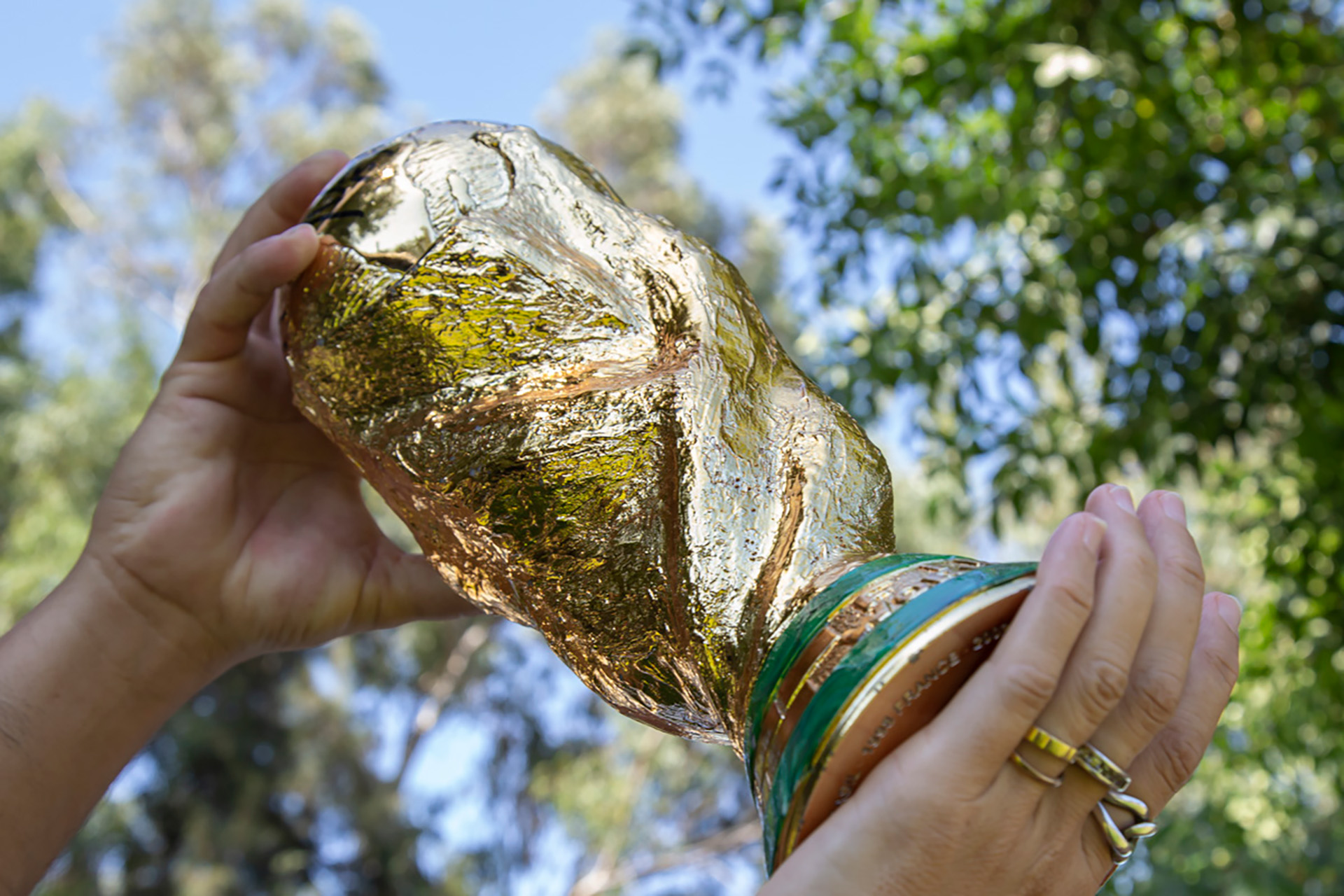 “la Copa De Messi” La Historia Detrás De La Réplica Que Una Familia Llevó A Qatar Y Se 7685