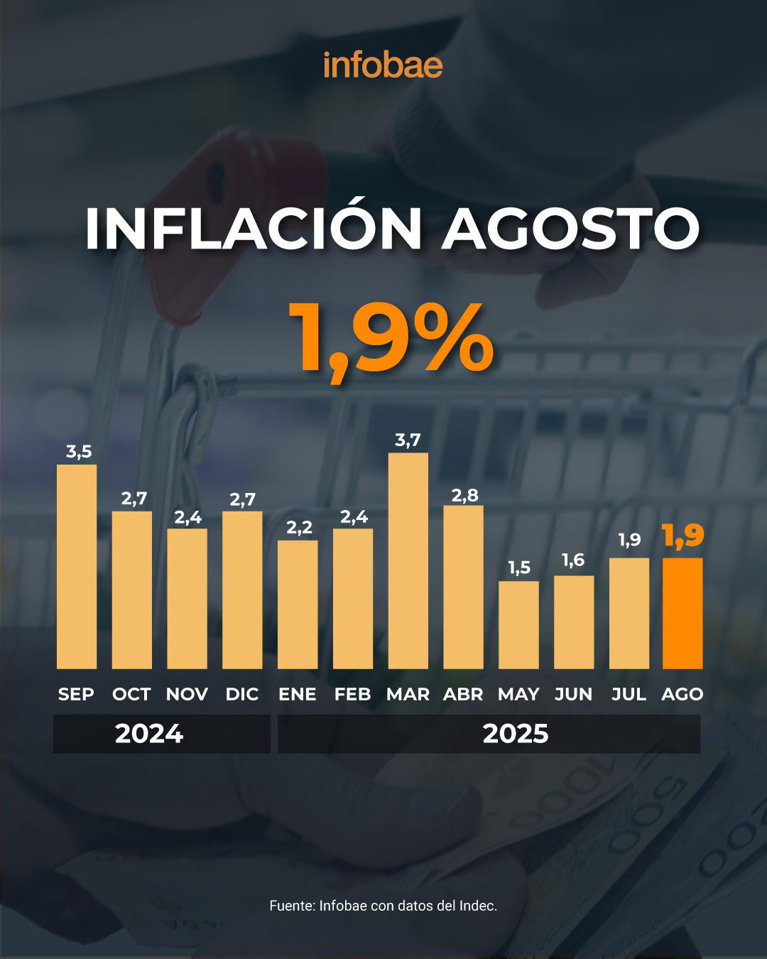 infografia