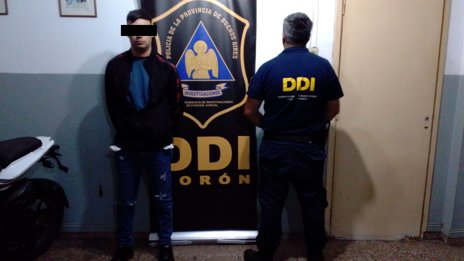 Alerta en Australia por la floración de algas tóxicas: murieron más de un millón de animales marinos