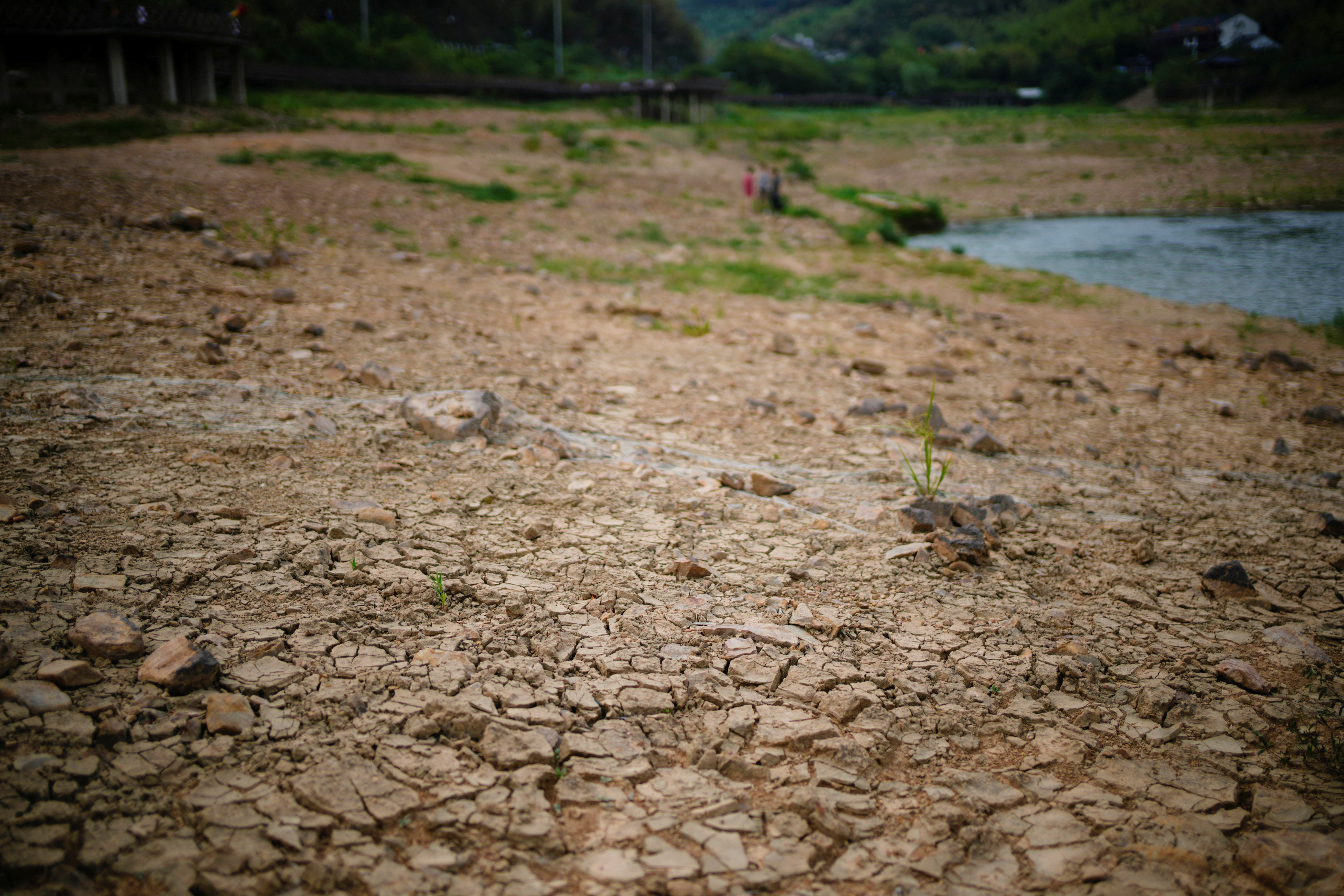 Se pueden ver grietas en el lecho seco de un embalse, en medio de altas temperaturas, mientras que muchas regiones del suroeste al este del país a lo largo del río Yangtze han estado experimentando semanas de olas de calor sin precedentes en Changxing, provincia de Zhejiang. REUTERS/Aly Canción
